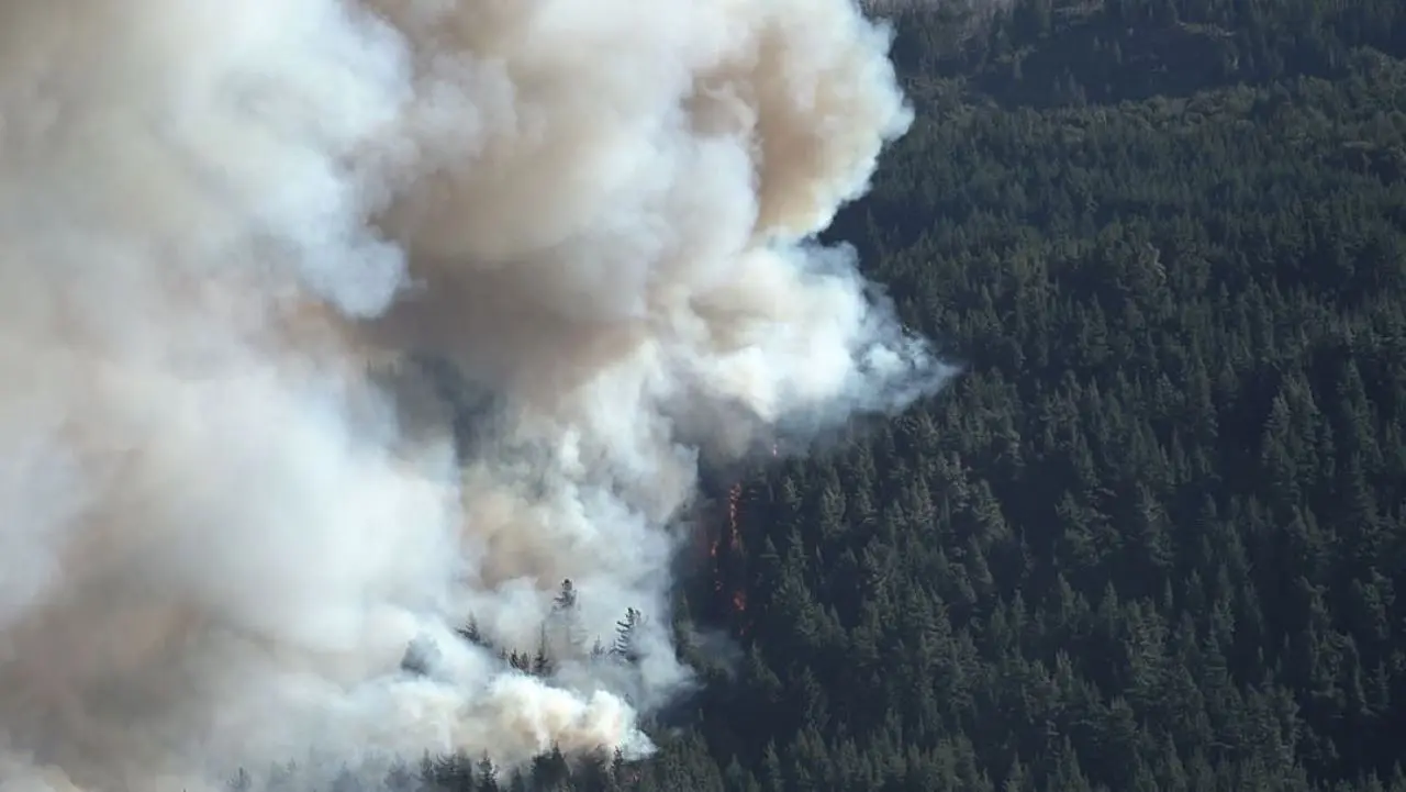 Ecos del Fuego backdrop