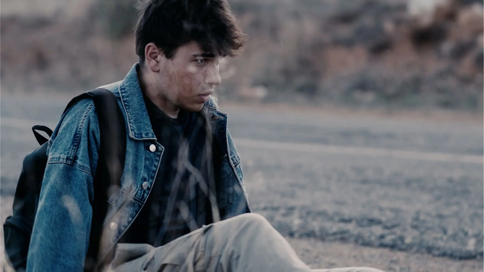 The Echo Forest backdrop