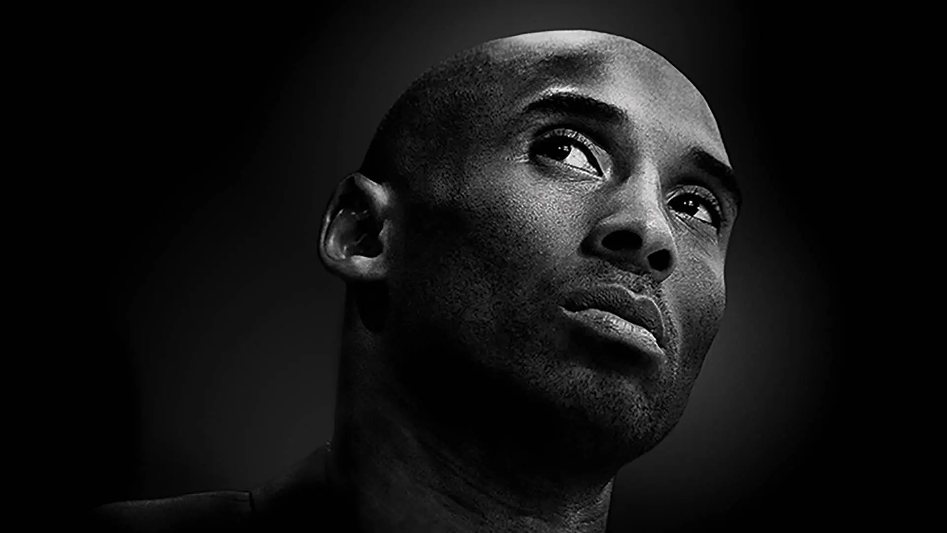 Kobe Bryant's Muse backdrop
