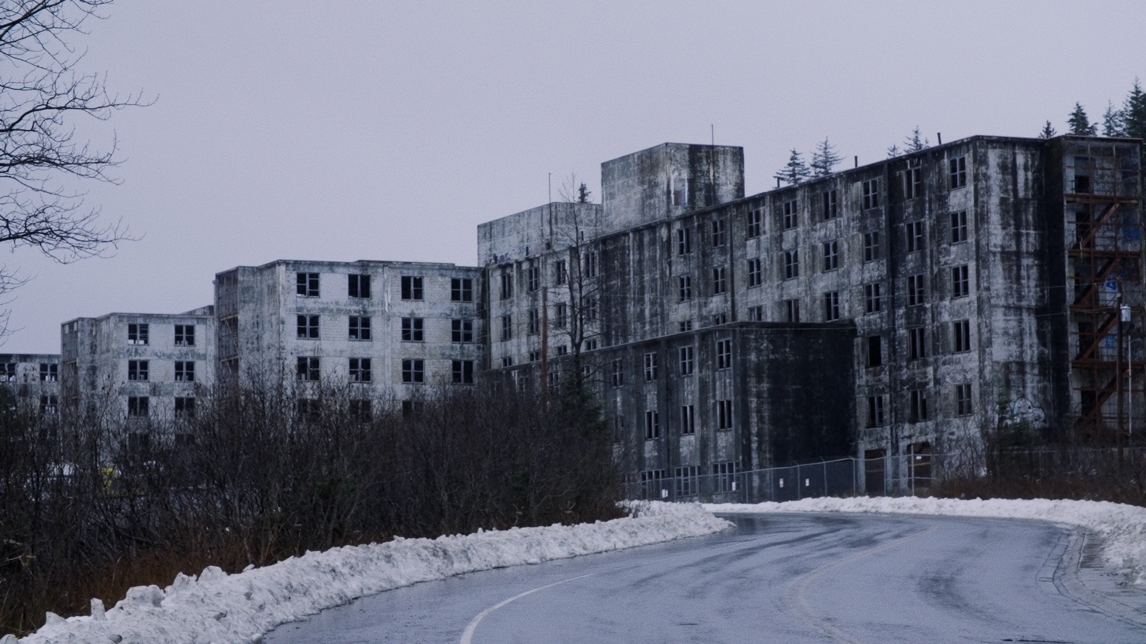 Prettier in Whittier backdrop