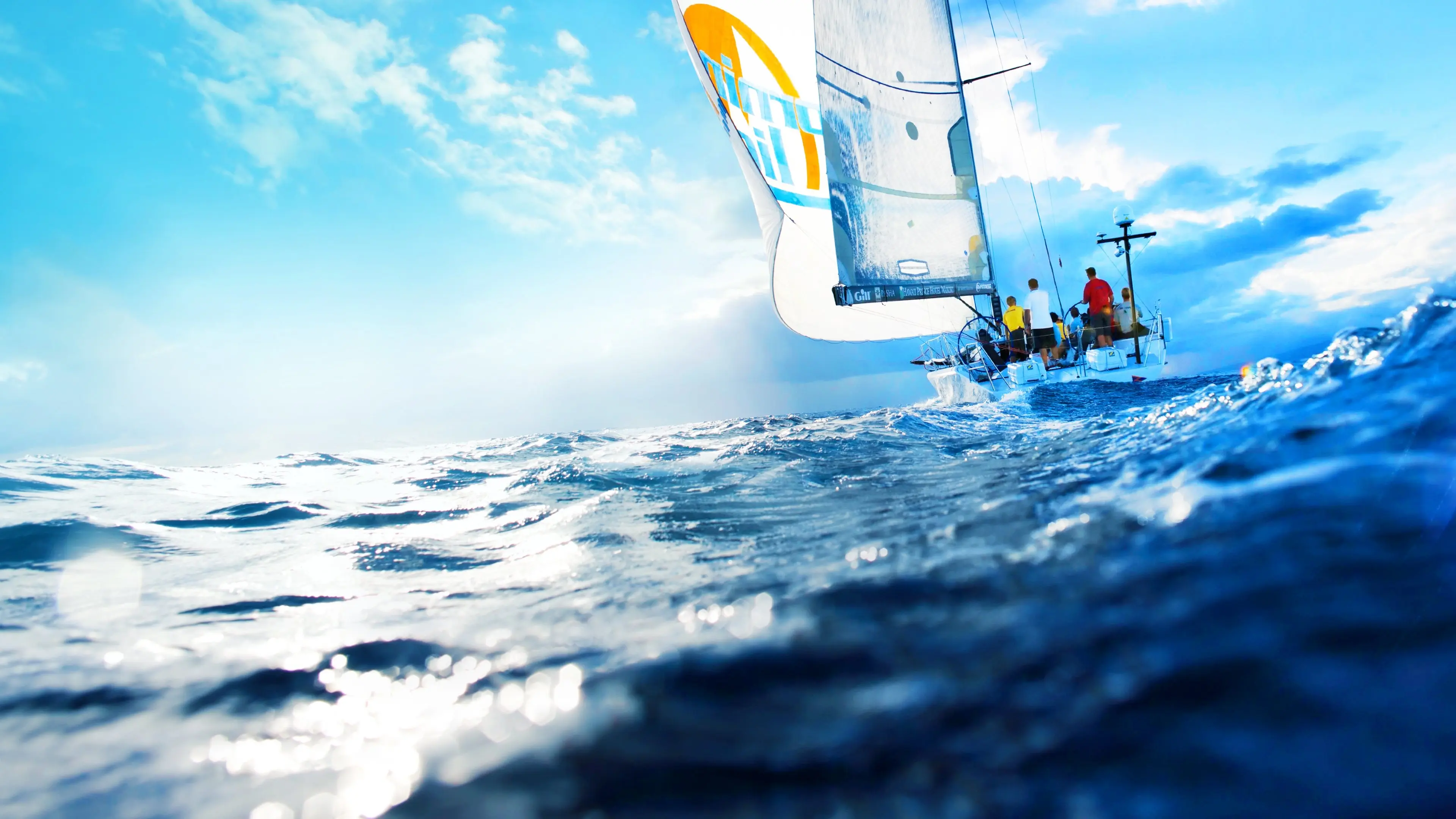 Morning Light backdrop