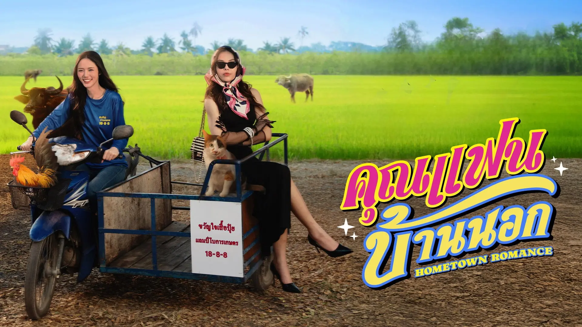 Hometown Romance backdrop