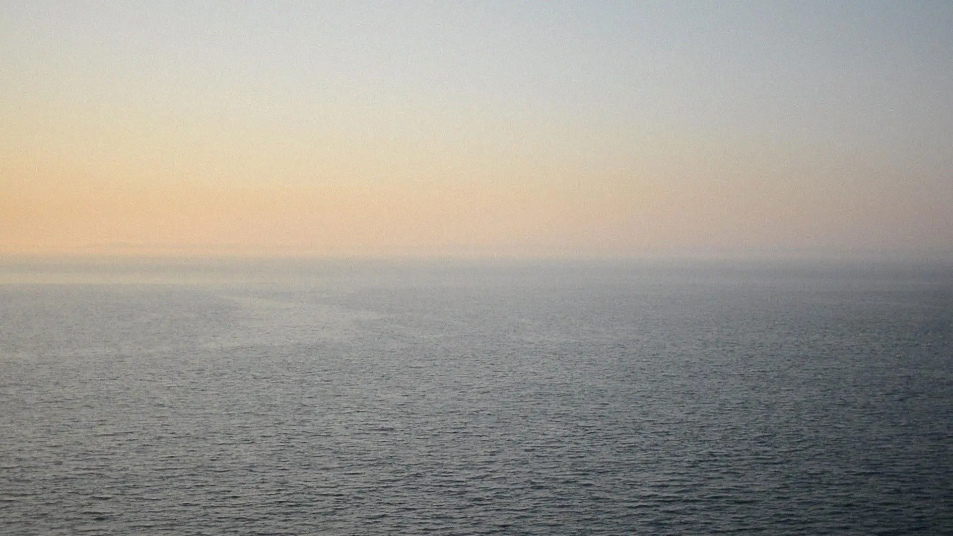 The Will to Act Rashly backdrop