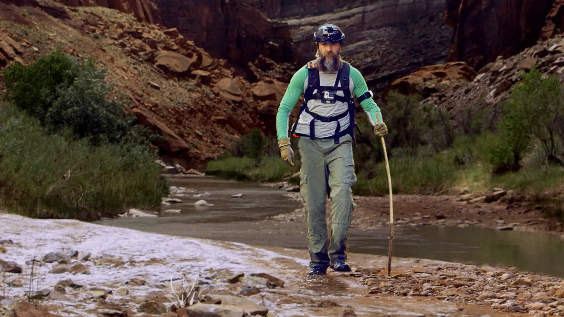 Remote Survival backdrop