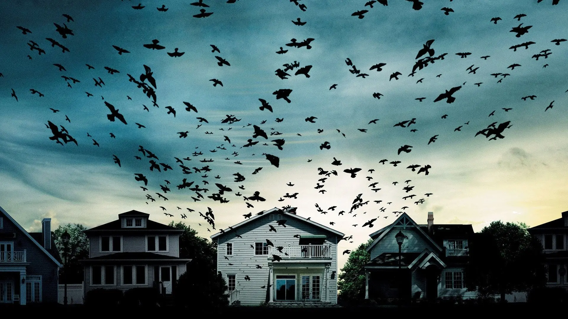 Dark Skies backdrop