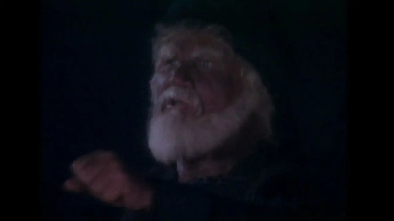 Respect Jehovah's Authority backdrop