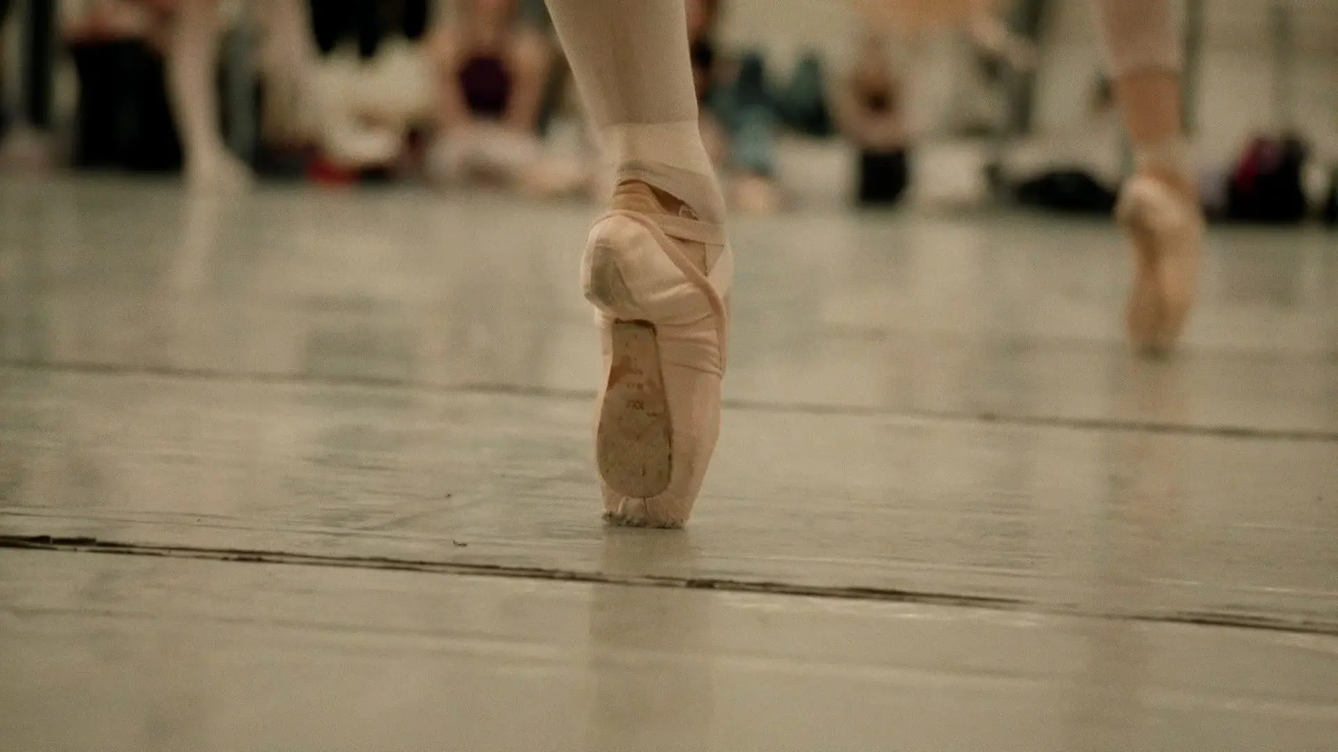 In Bocca al Lupo backdrop