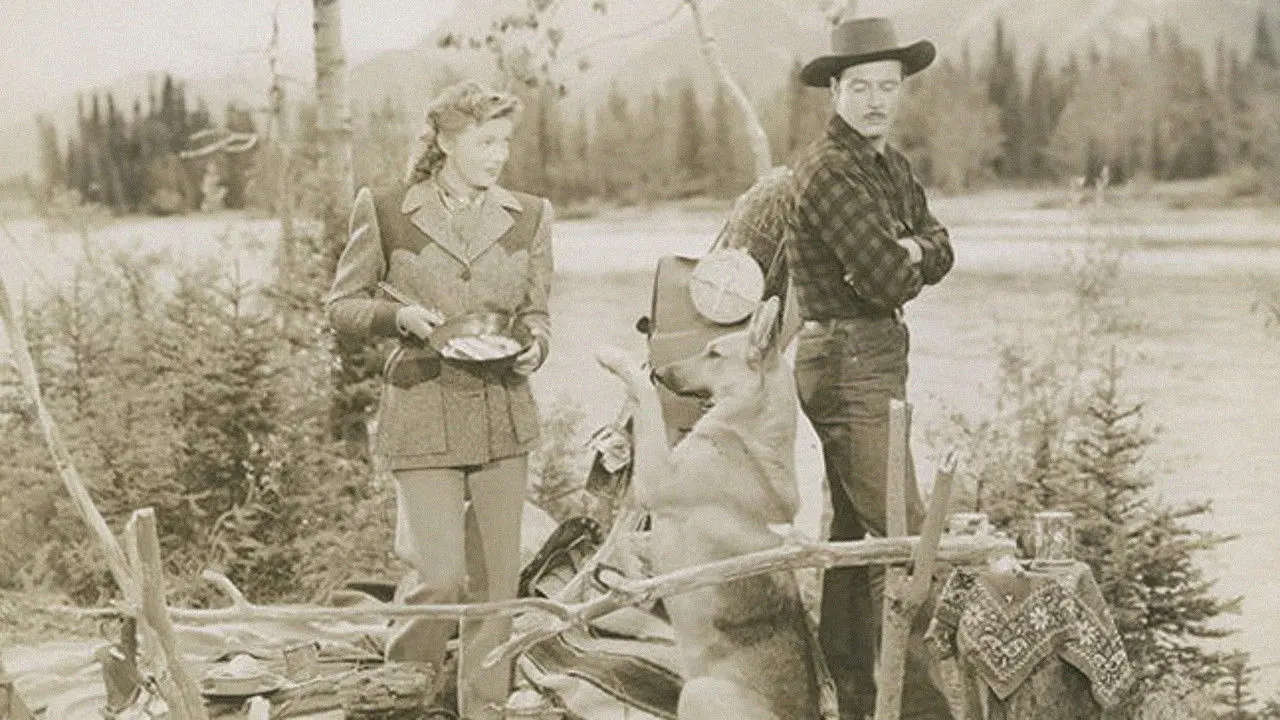 Northwest Stampede backdrop