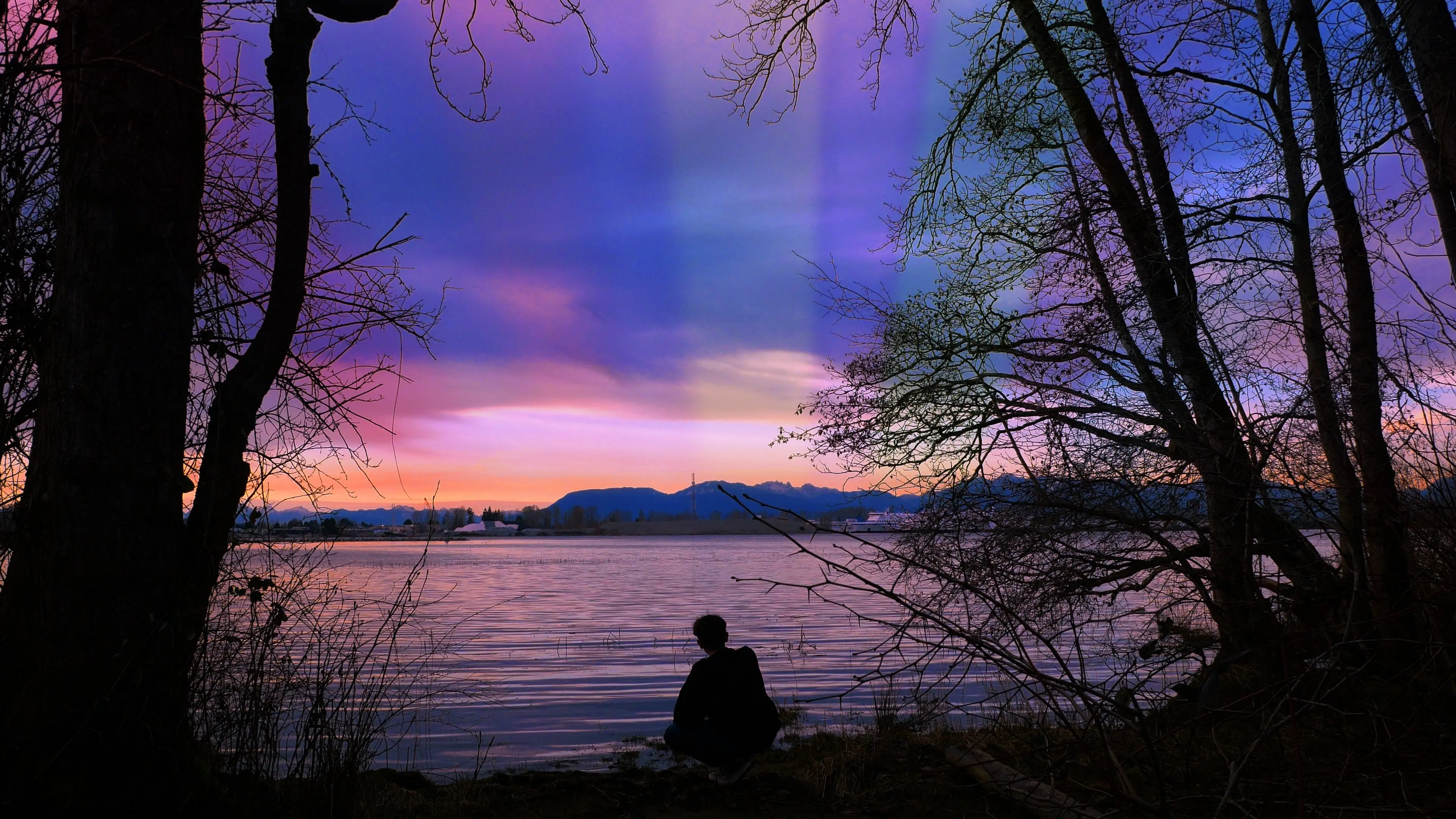 My Fascination With The Butterfly Effect backdrop