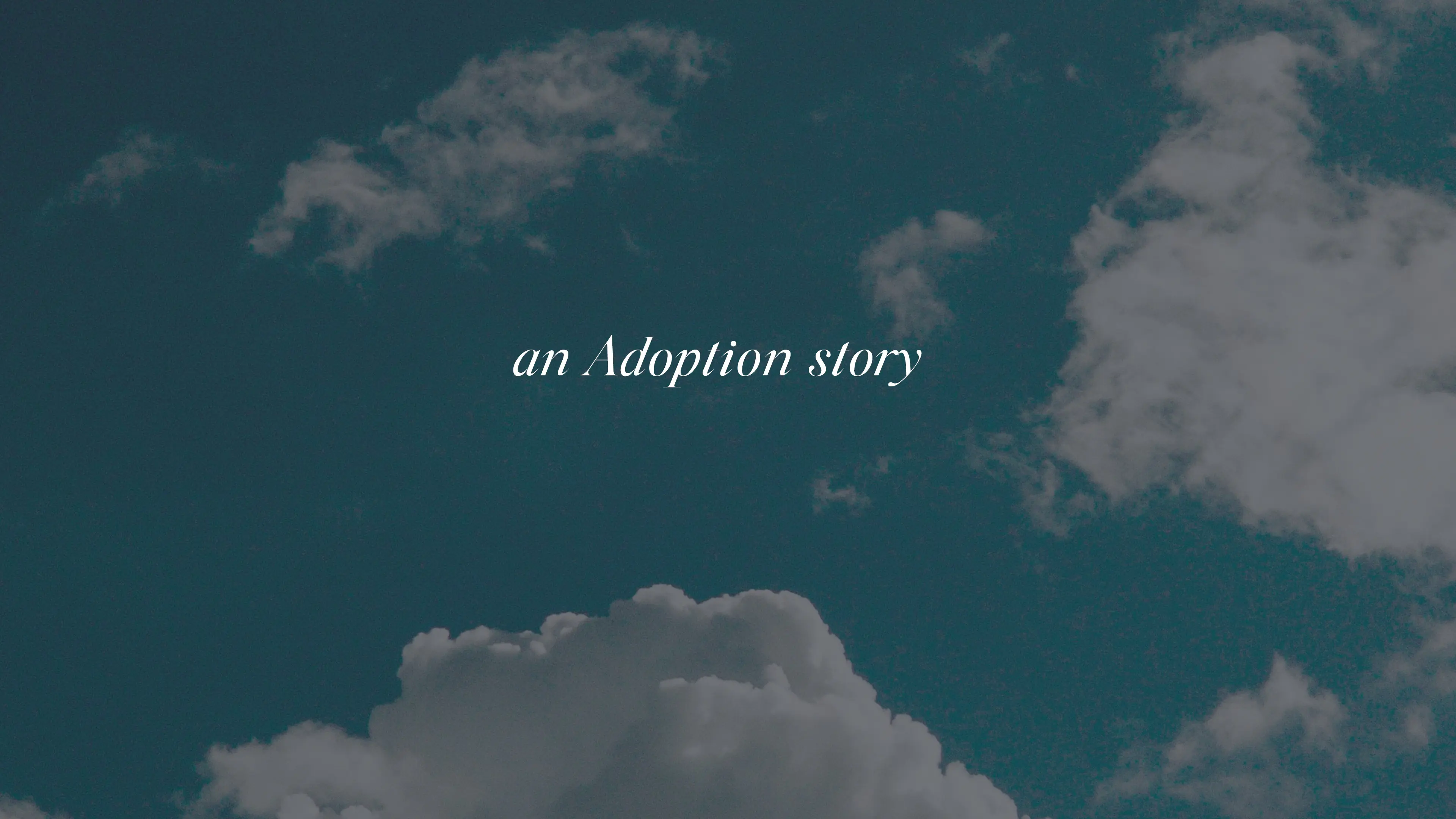 An Adoption Story backdrop
