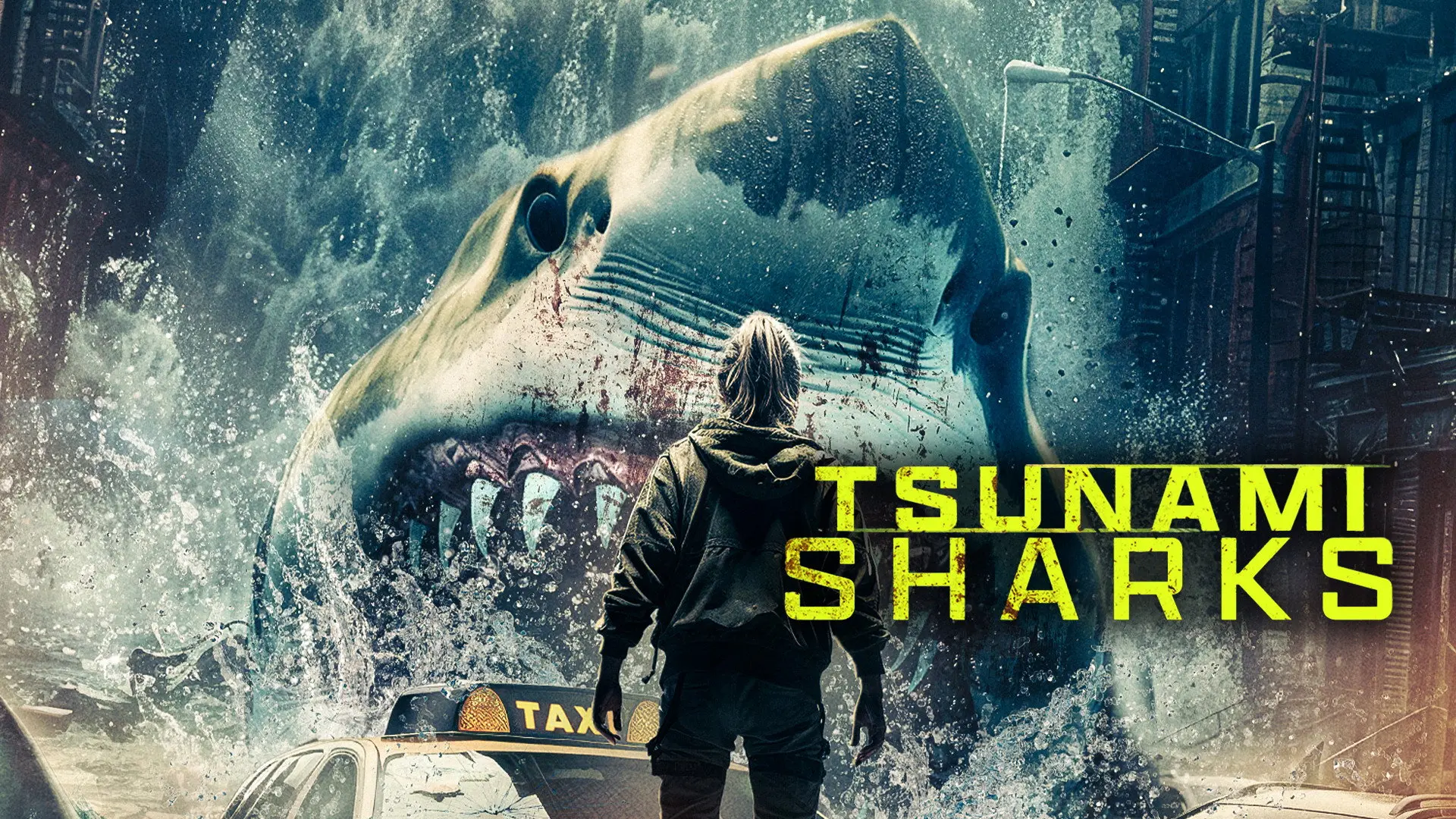 Tsunami Sharks backdrop