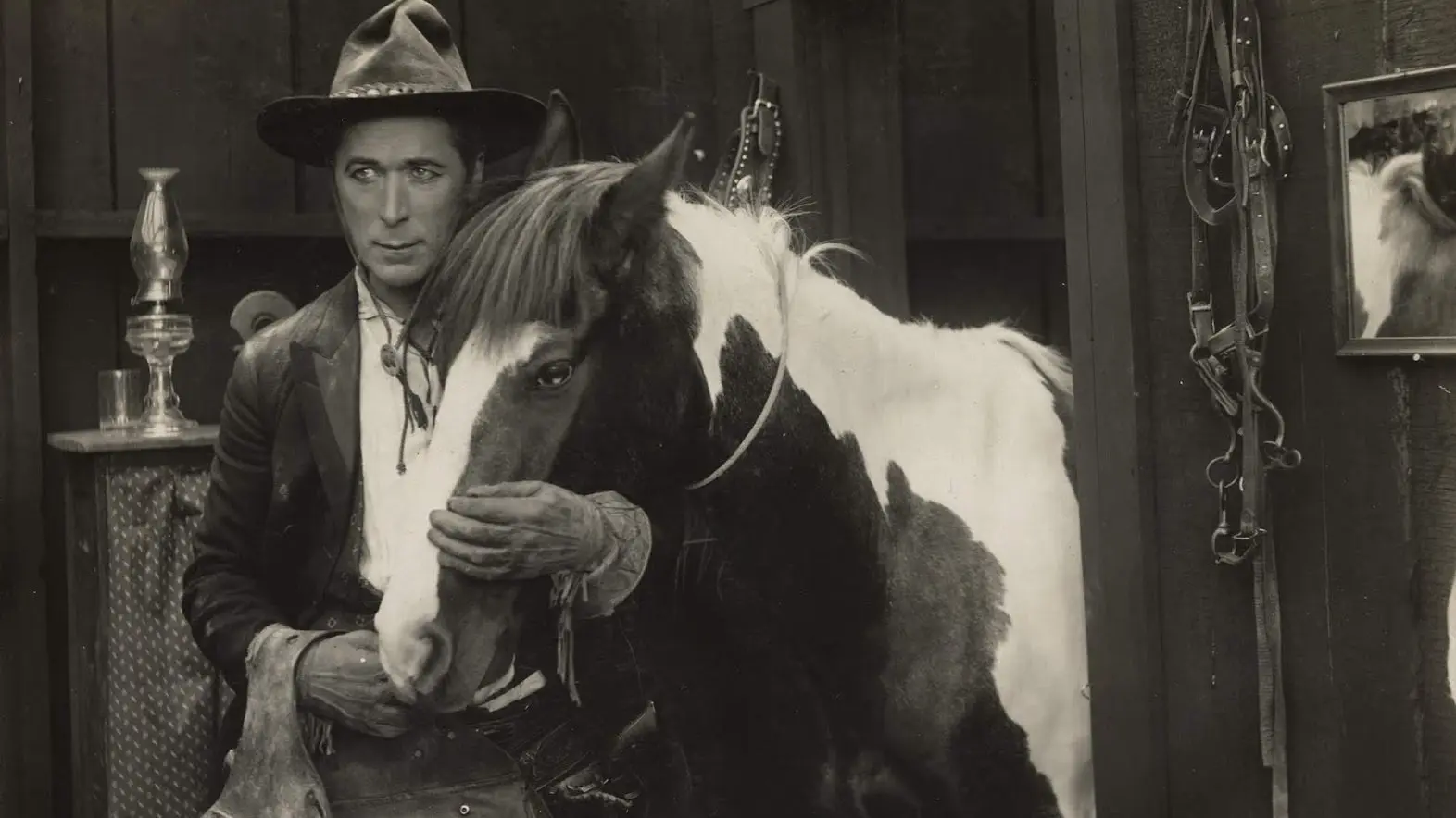 Knight of the Trail backdrop