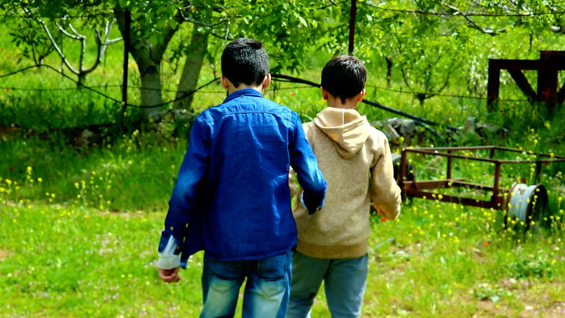 Meters Away backdrop