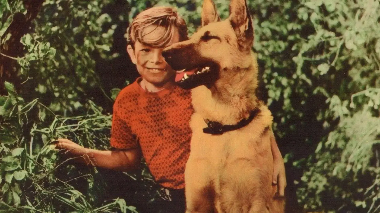 A Dog's Best Friend backdrop