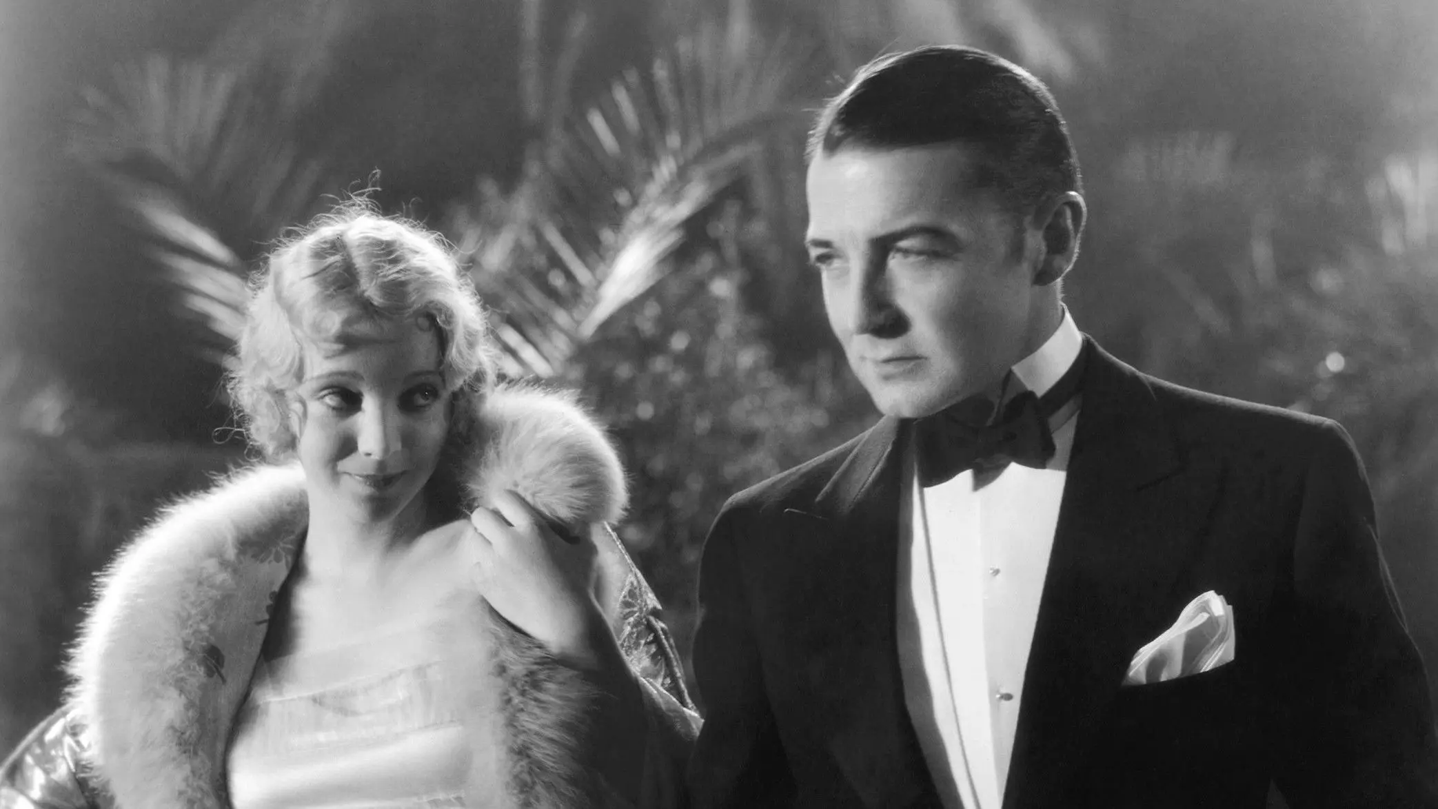 Slightly Scarlet backdrop