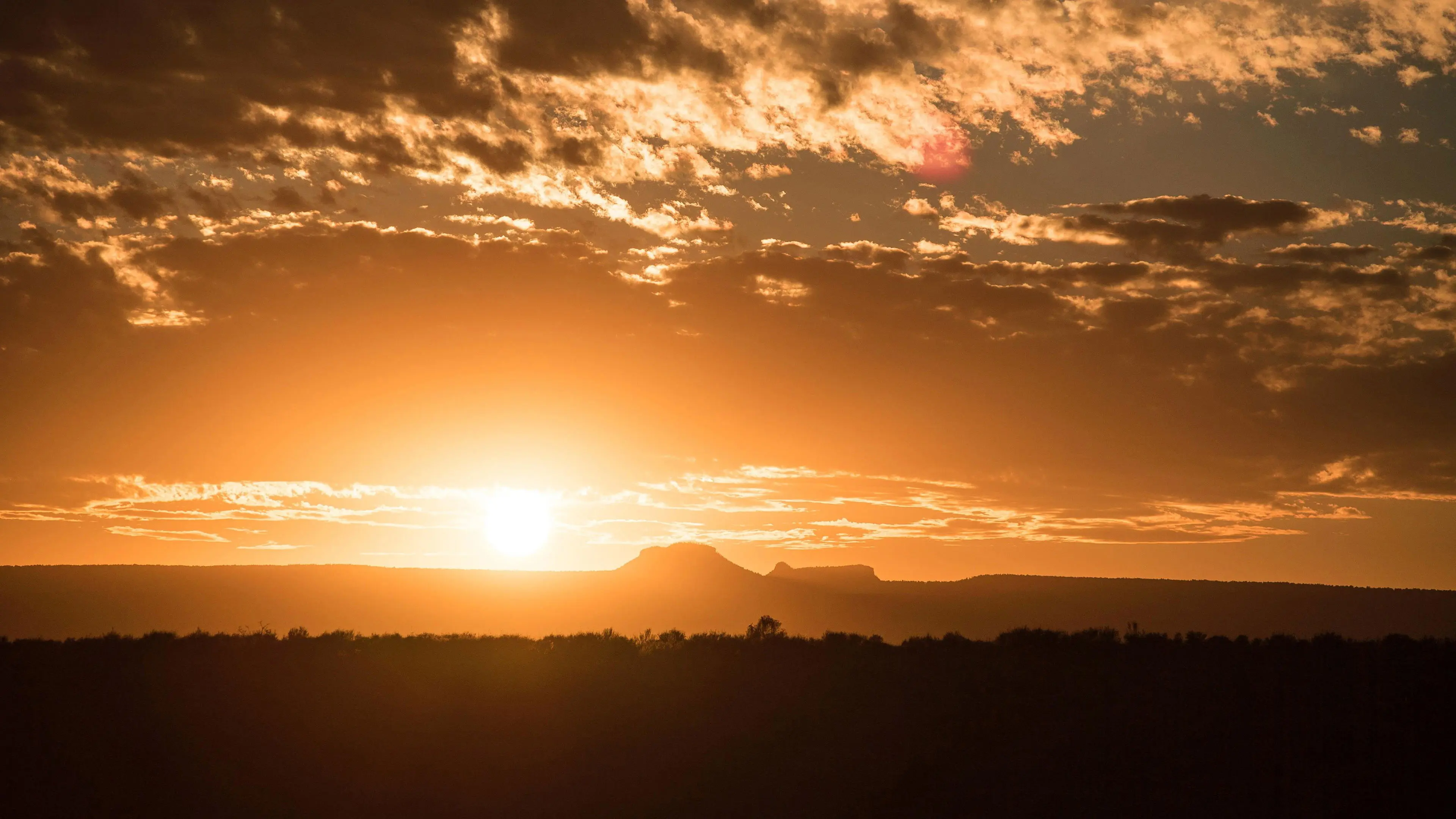 Battle Over Bears Ears backdrop