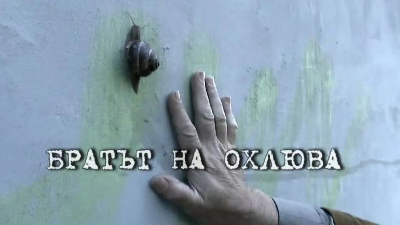 Brother of the Snail backdrop