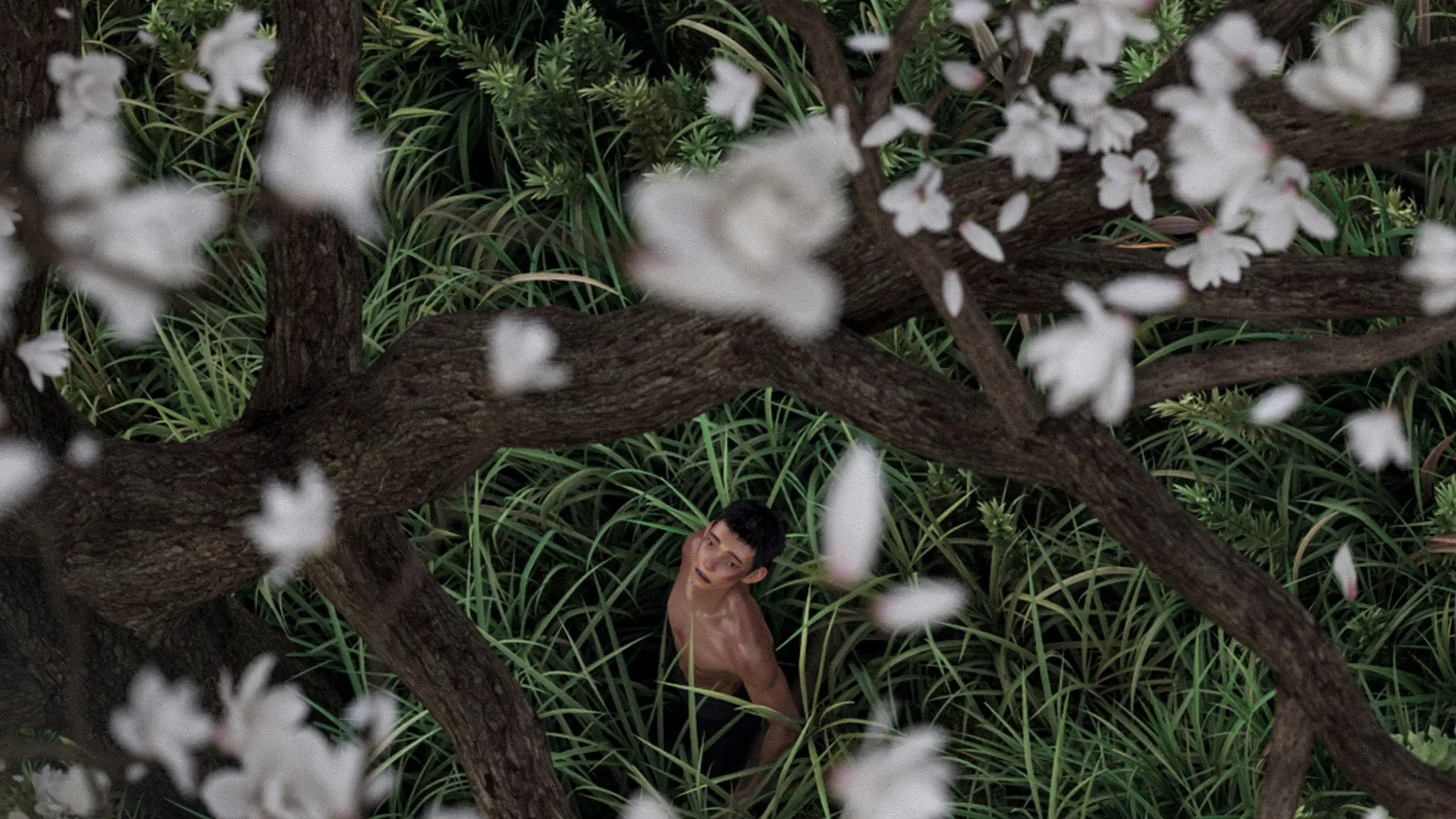 I Am What I Am 2 backdrop