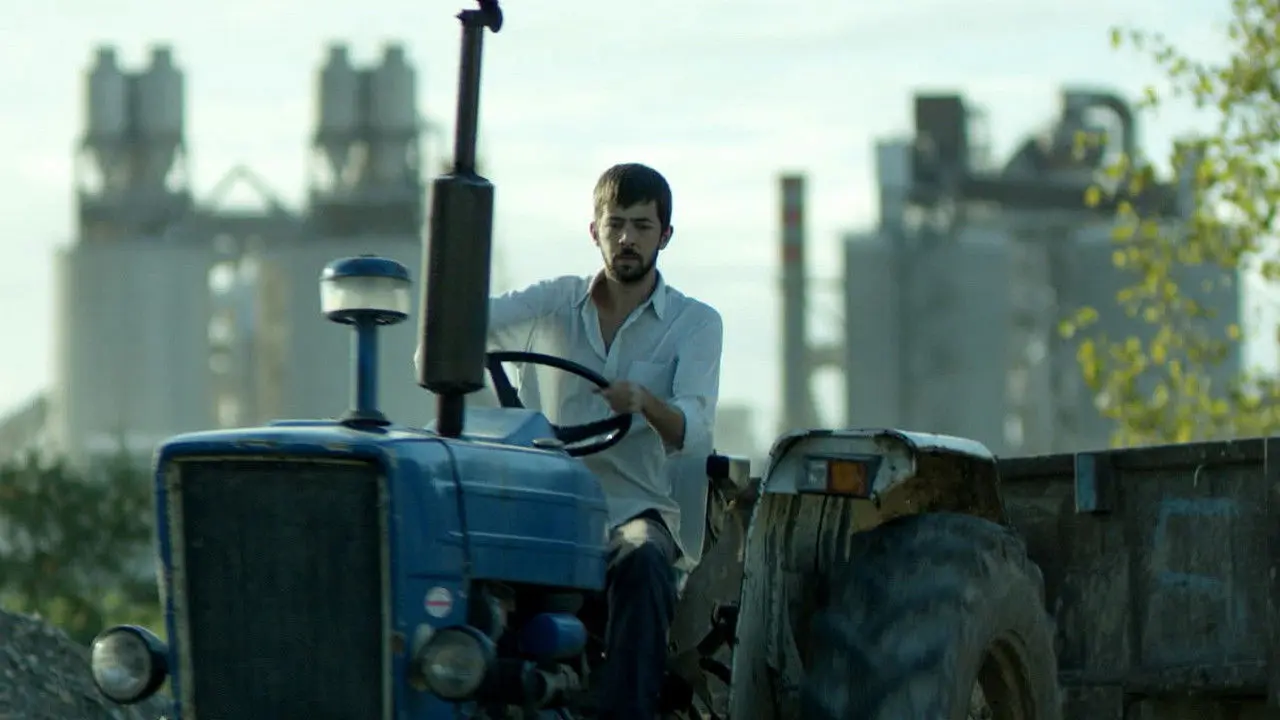 Yellow Heat backdrop