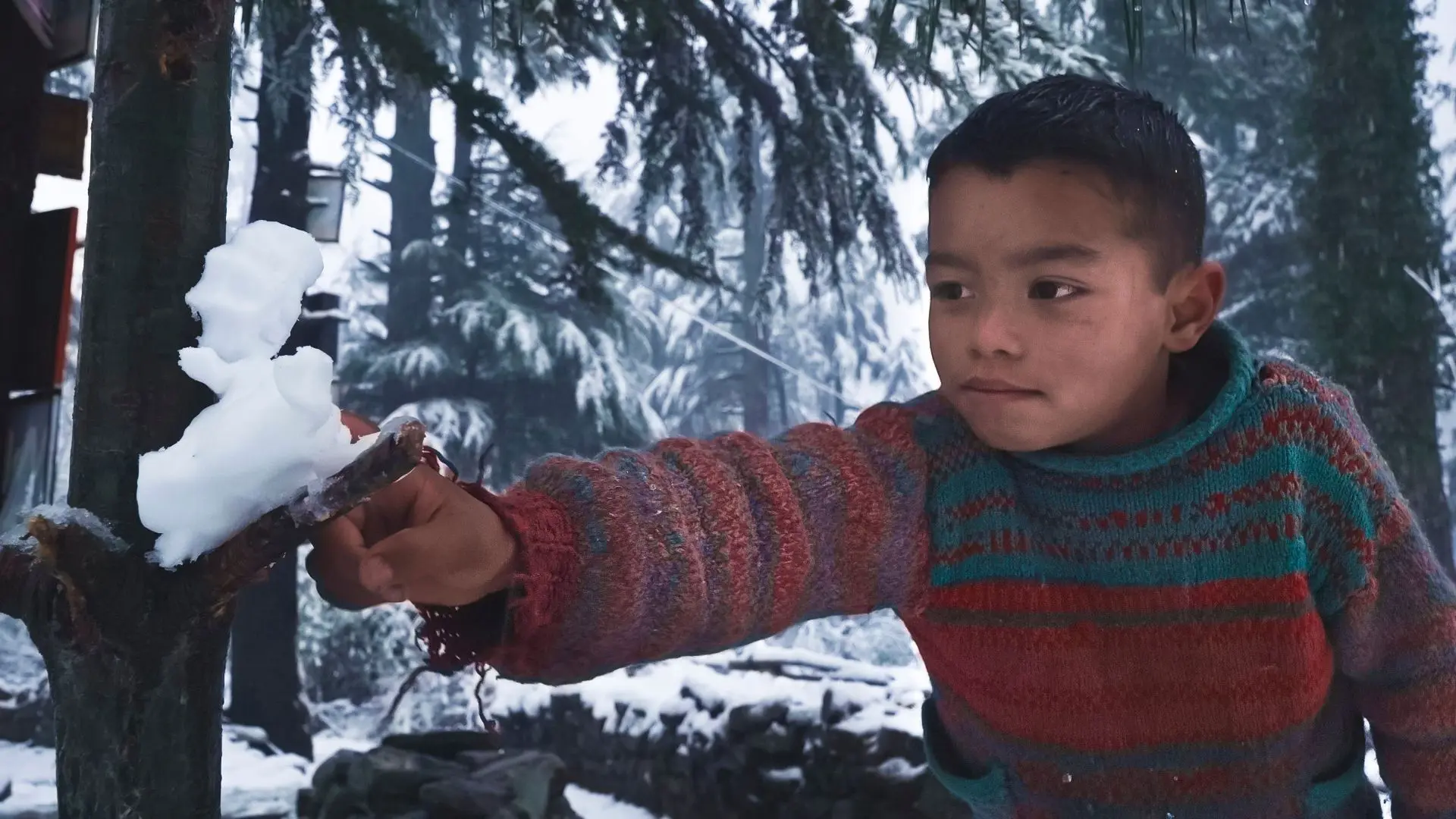 Until I Fly backdrop