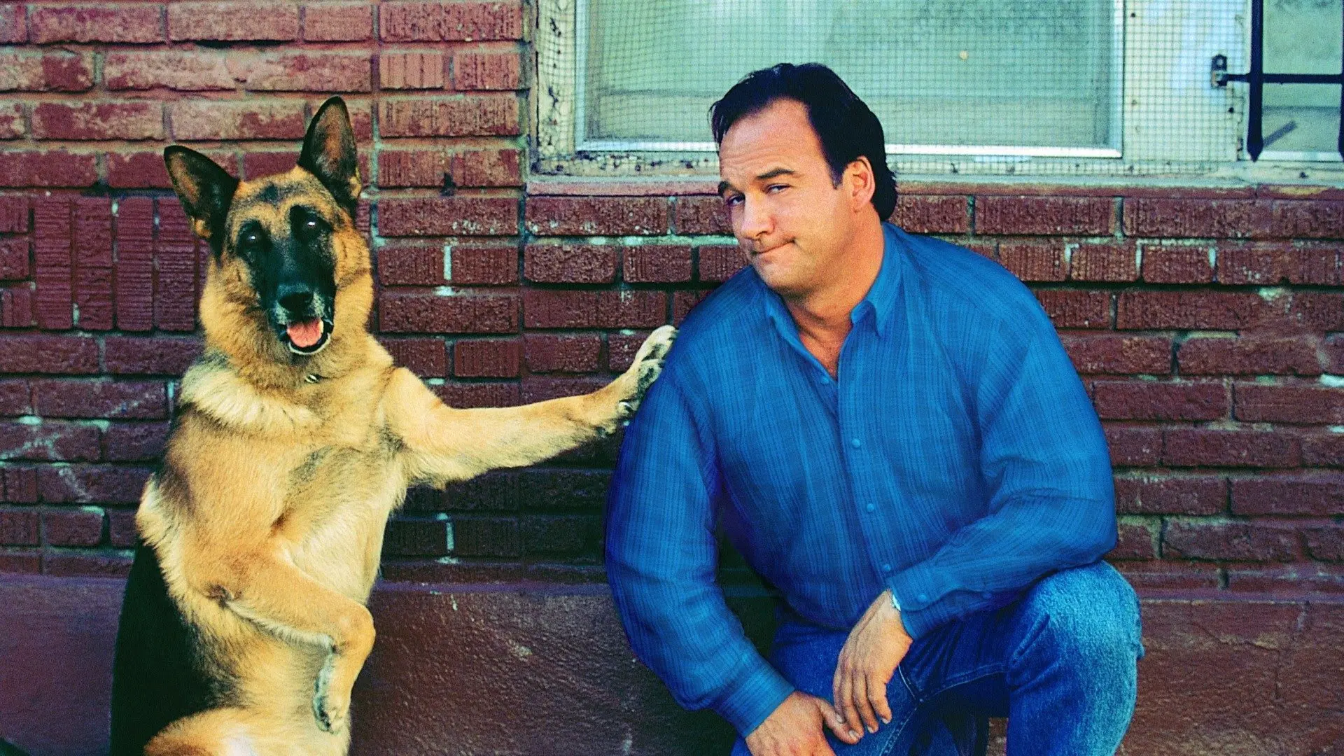 K-911 backdrop