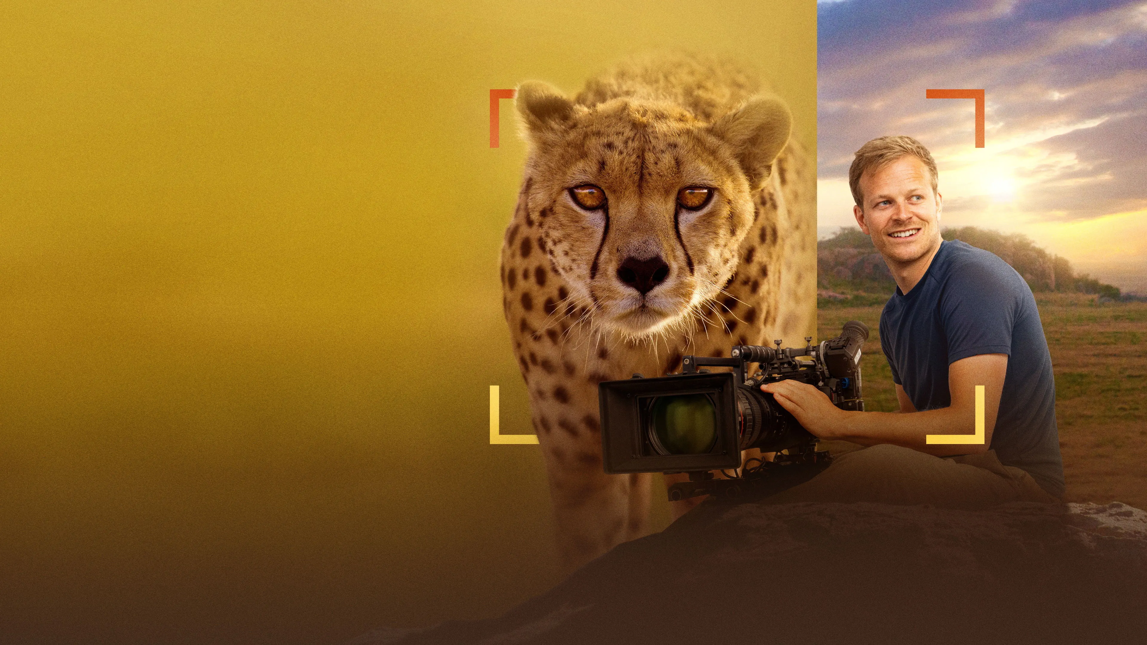 Cheetahs Up Close with Bertie Gregory backdrop