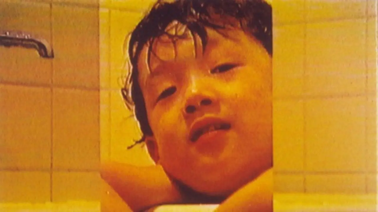 December Hide-and-Go-Seek backdrop