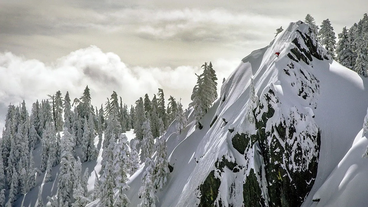 Drop Everything backdrop