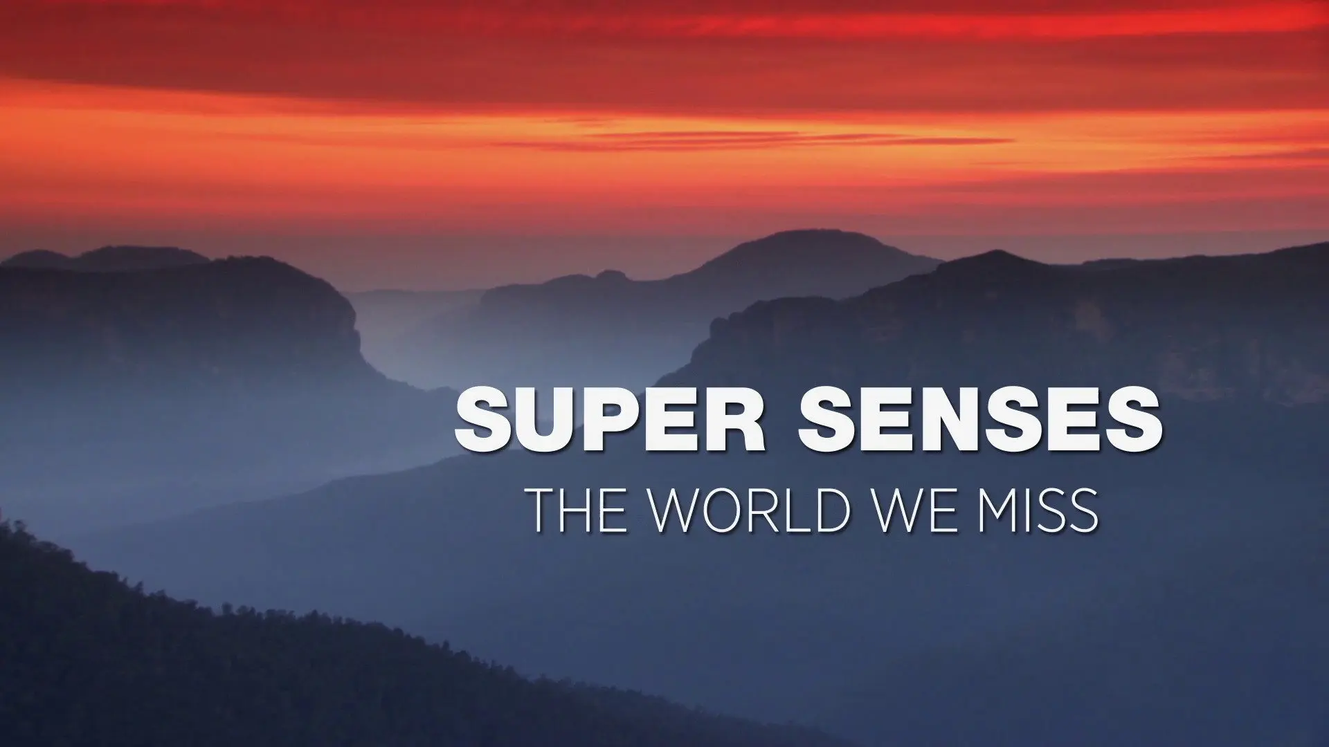 Super Senses backdrop