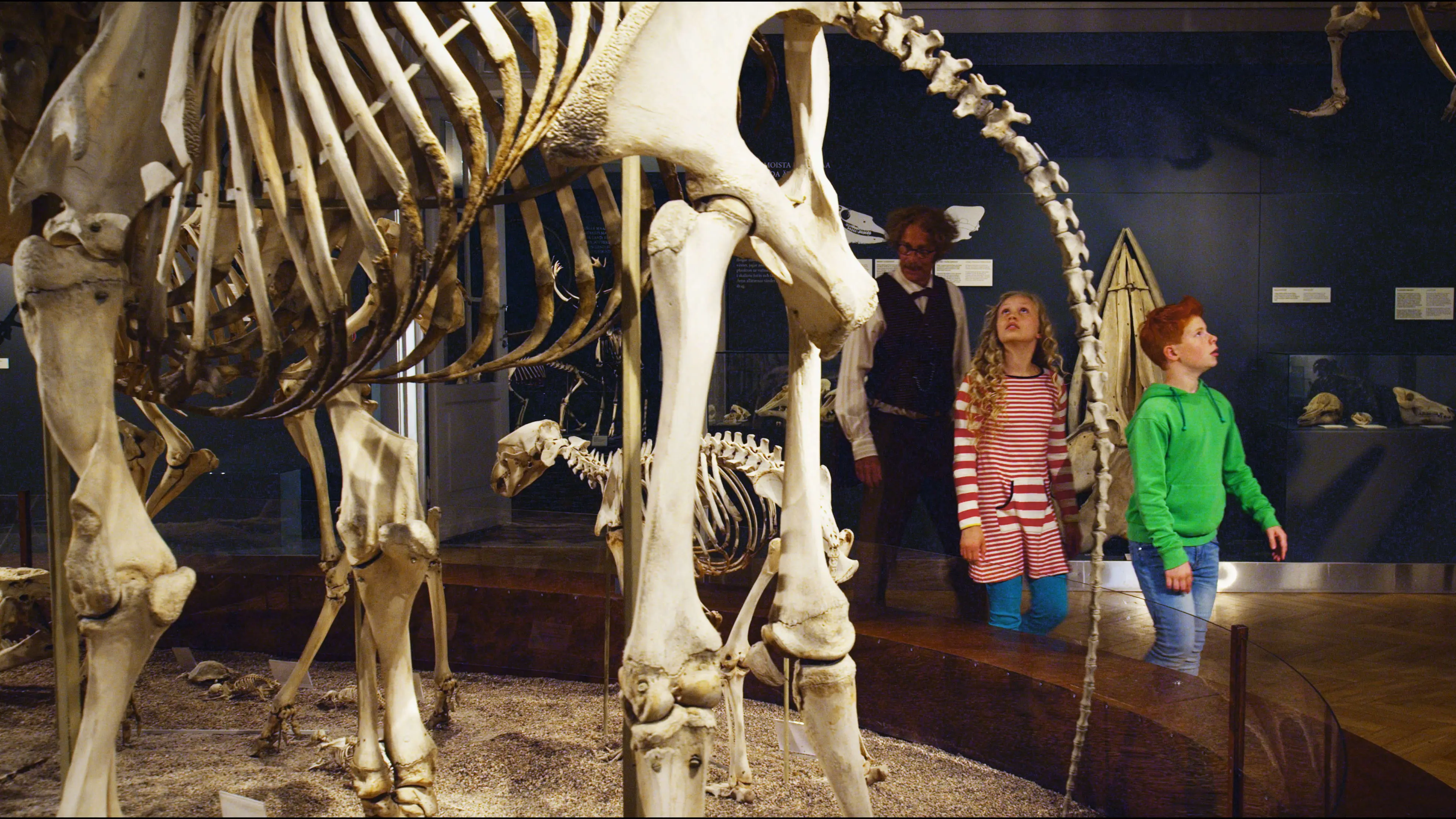 Ricky Rapper and the Nighthawk backdrop