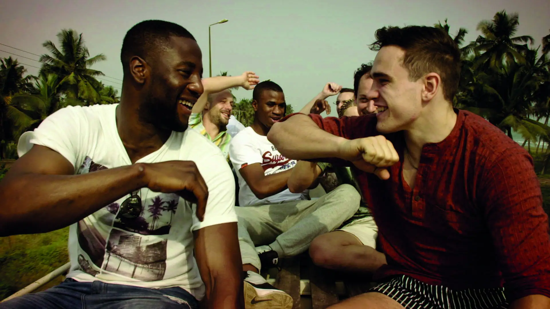 Lionhearted backdrop