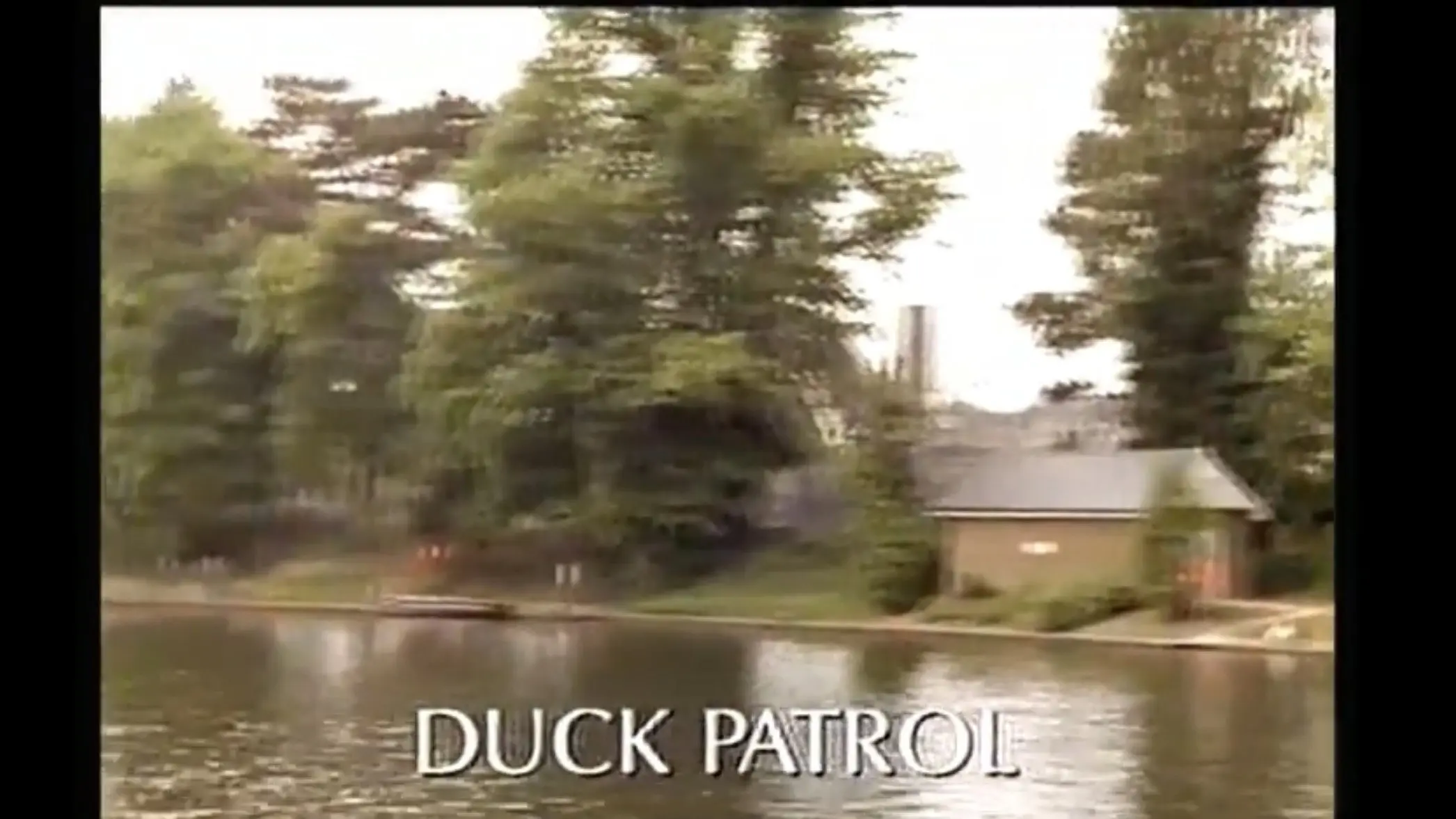 Duck Patrol backdrop
