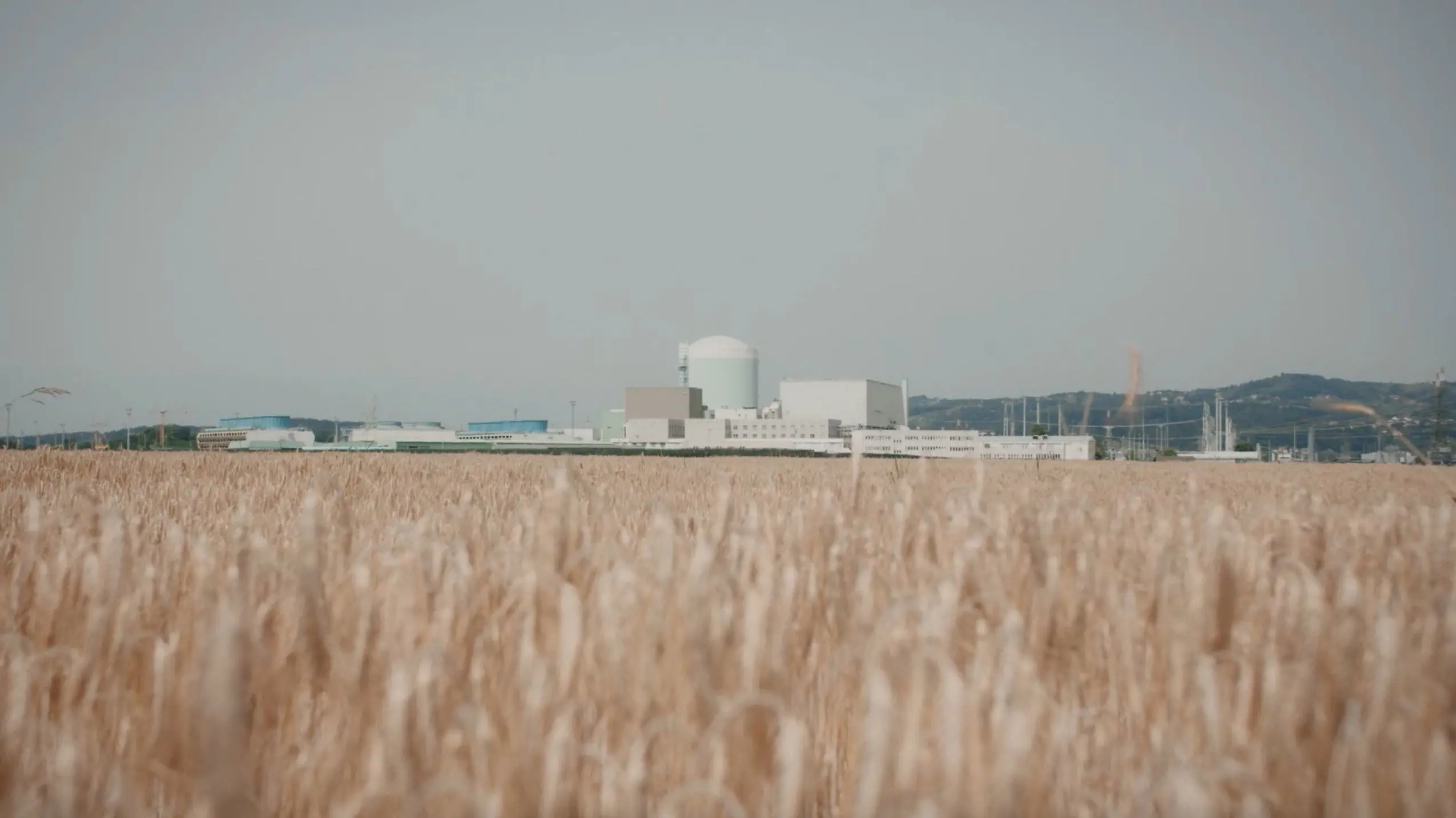 The One and Only backdrop