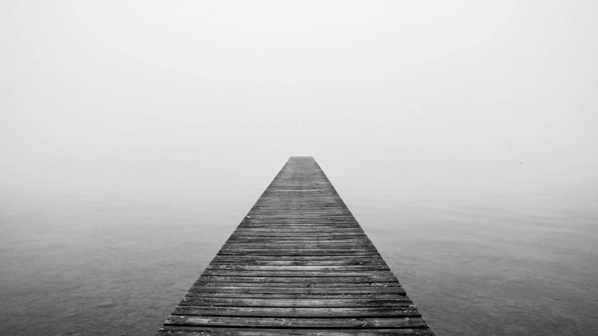 The Lake Erie Murders backdrop