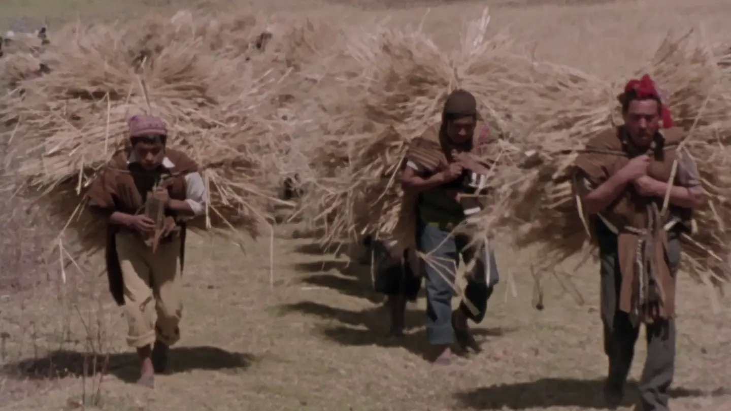 Child of the Andes backdrop
