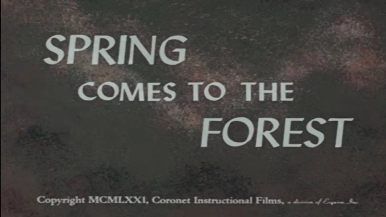 Spring Comes to the Forest backdrop