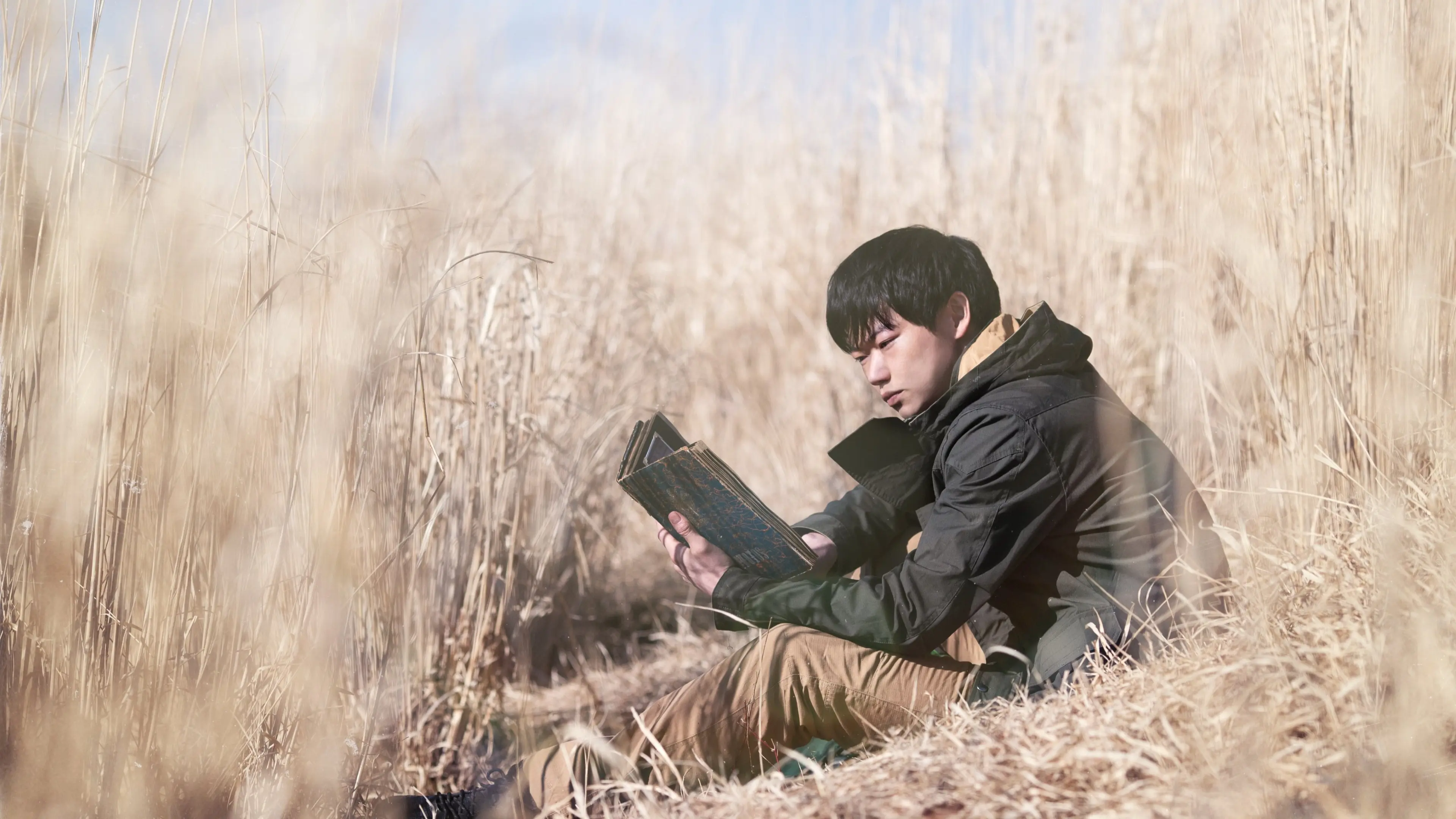 Ring Wandering backdrop