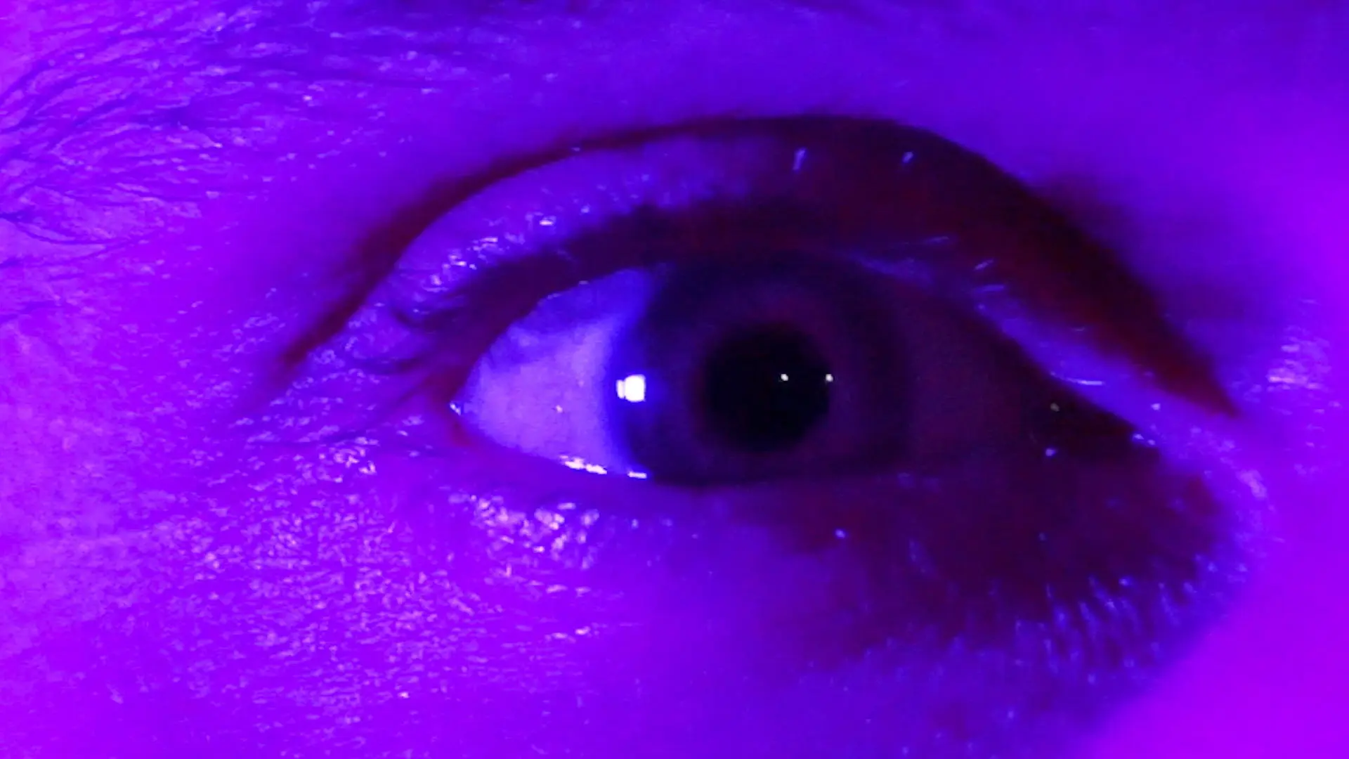 Salem's Flames backdrop