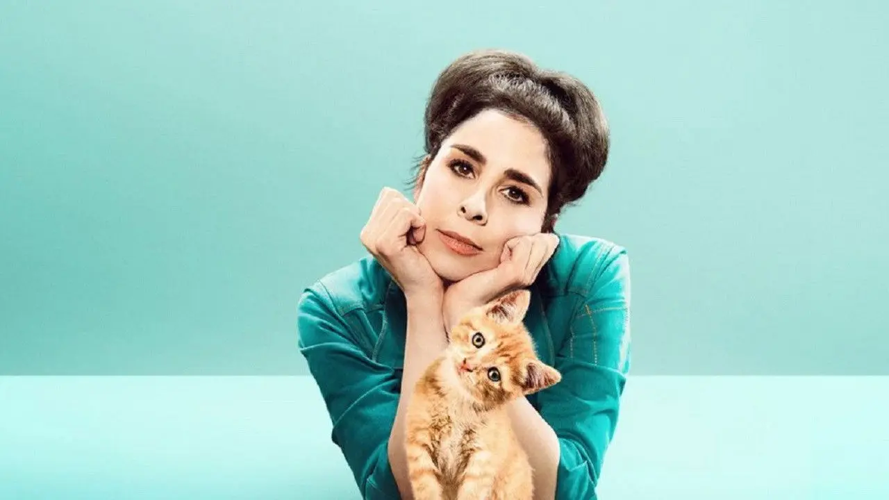 Stupid Pet Tricks backdrop