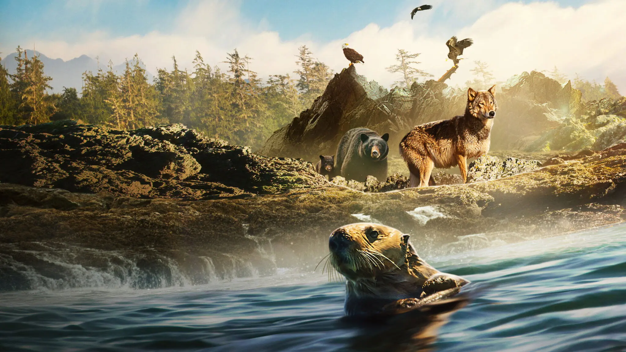 Island of the Sea Wolves backdrop
