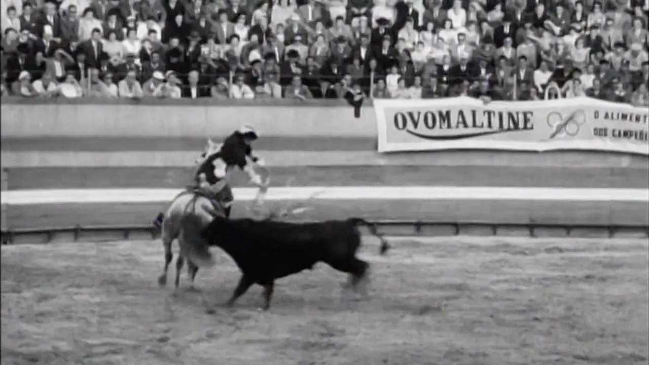 Born to Fight backdrop