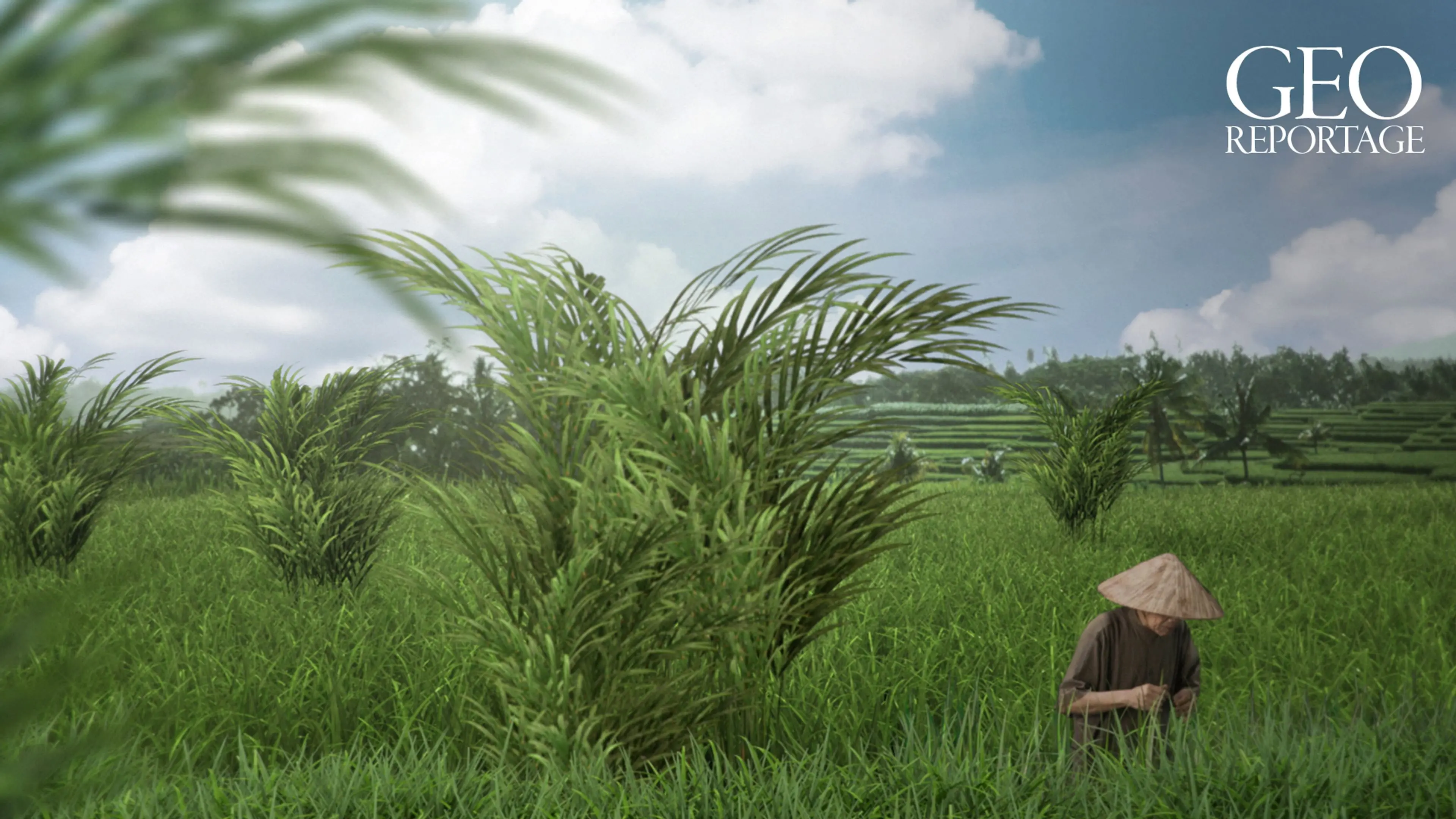 360° Reportage backdrop