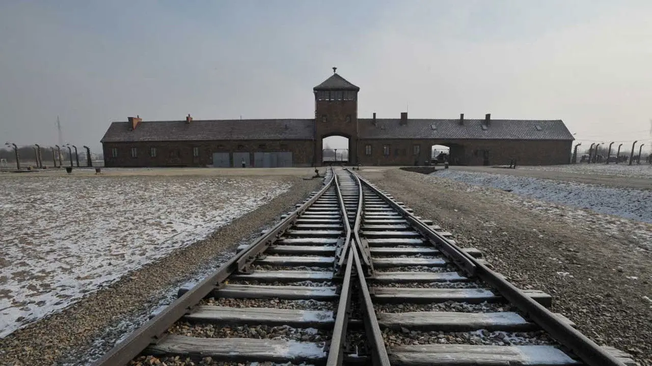 Born in Auschwitz backdrop