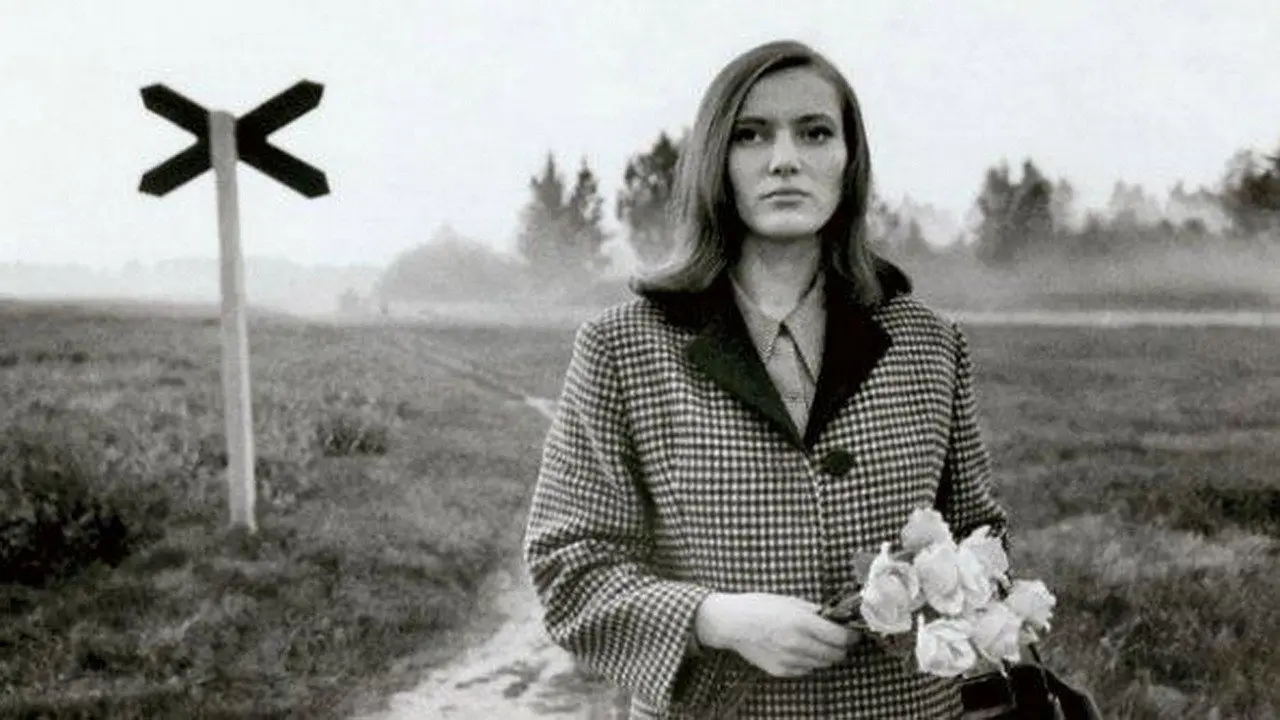 Pimedad aknad backdrop