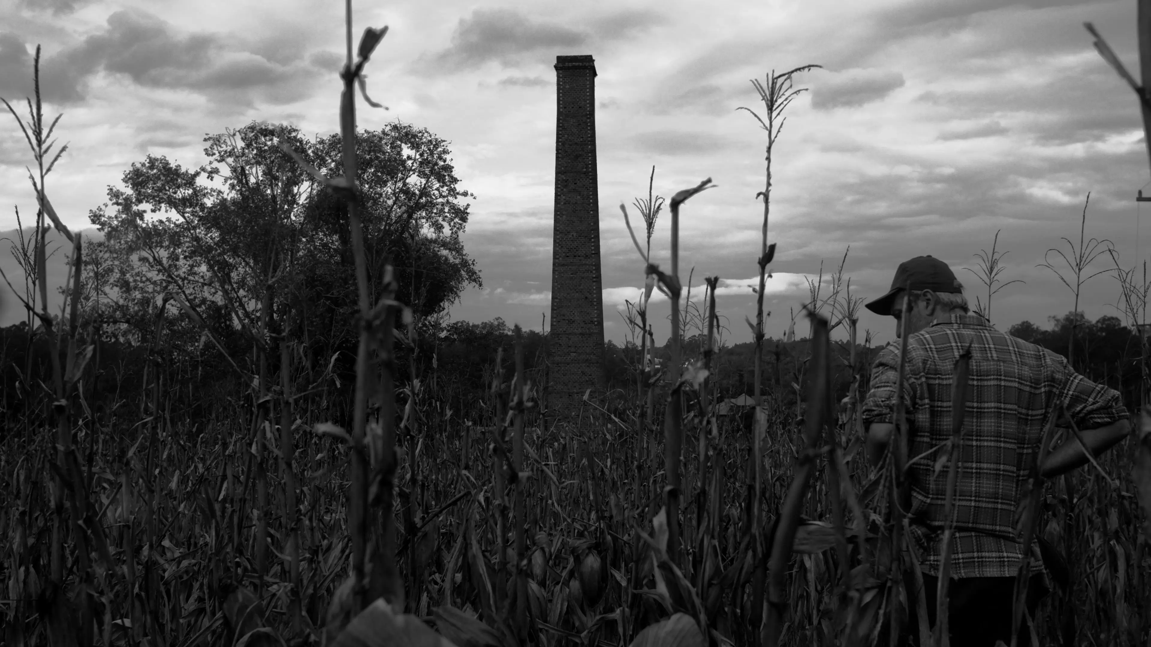 The Great Tower backdrop