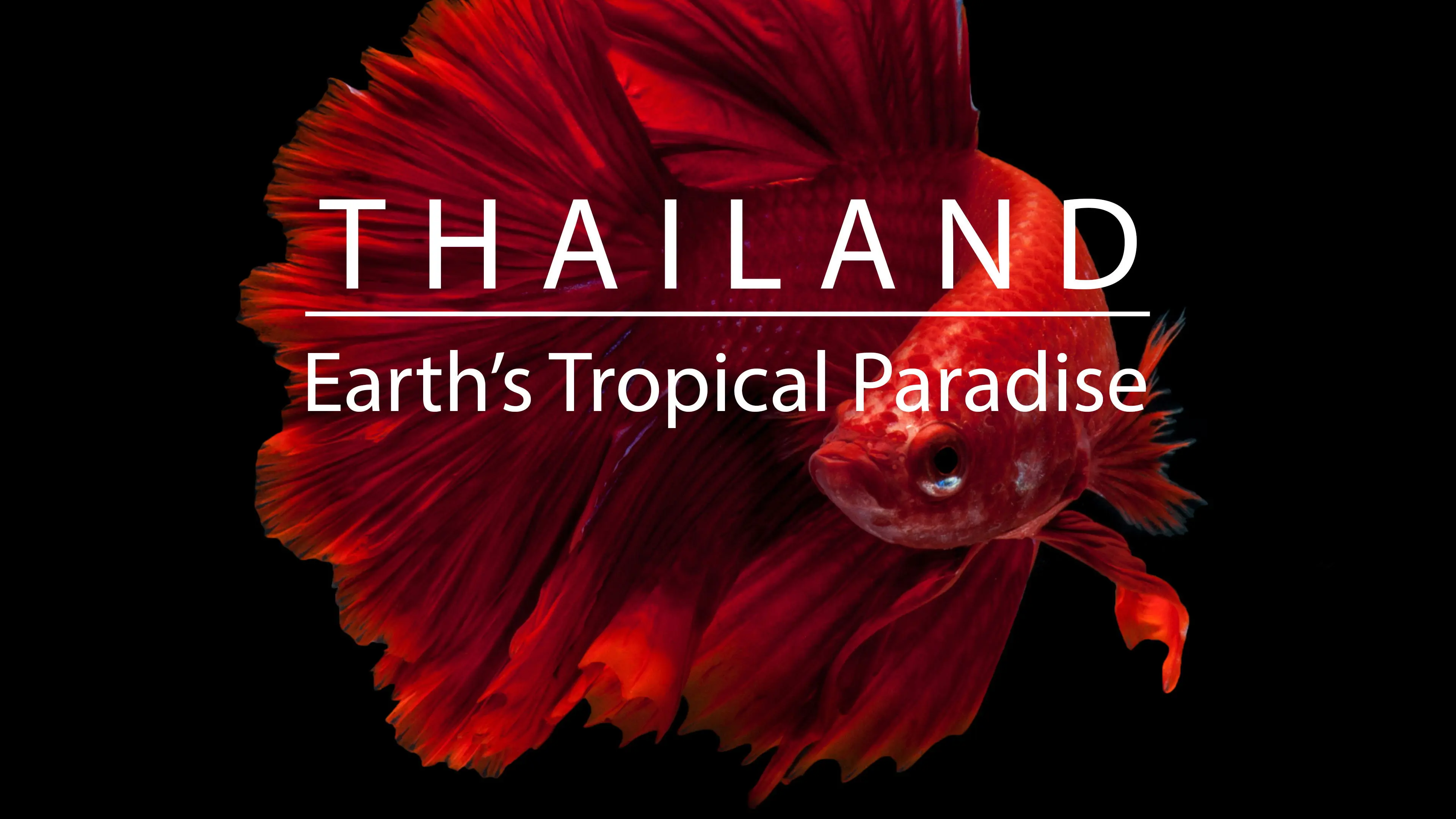 Thailand: Earth's Tropical Paradise backdrop