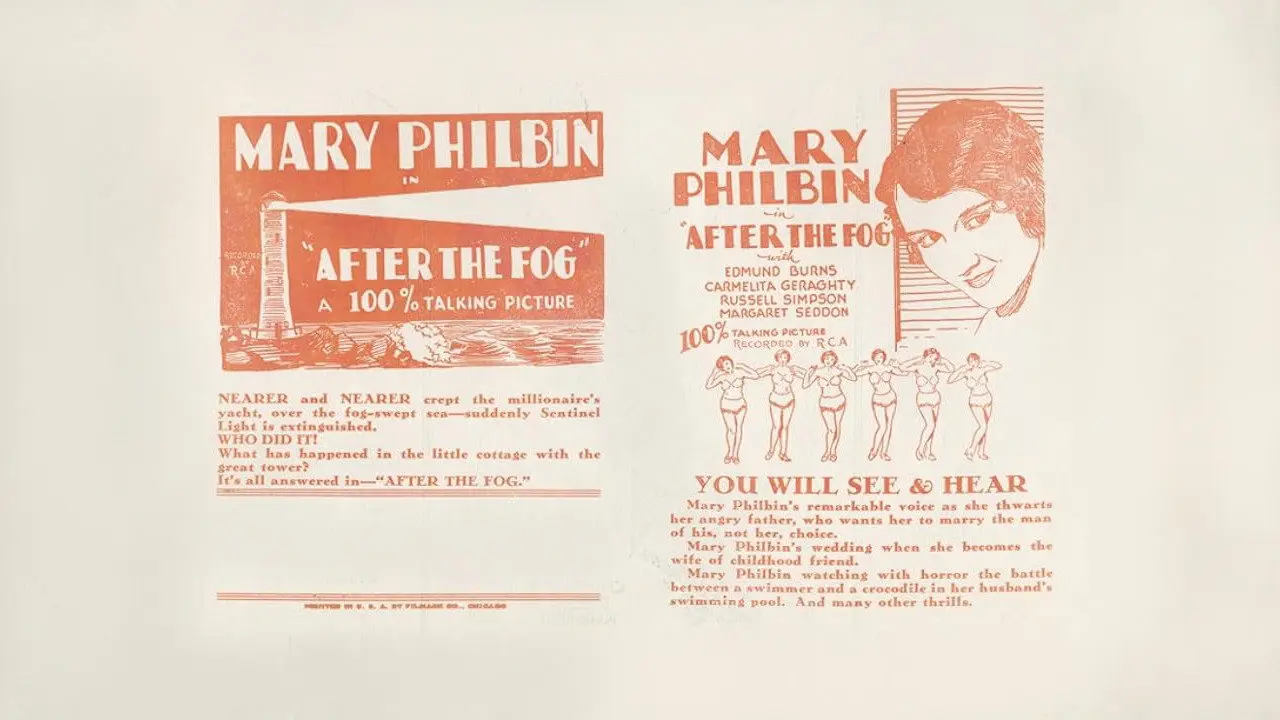 After the Fog backdrop