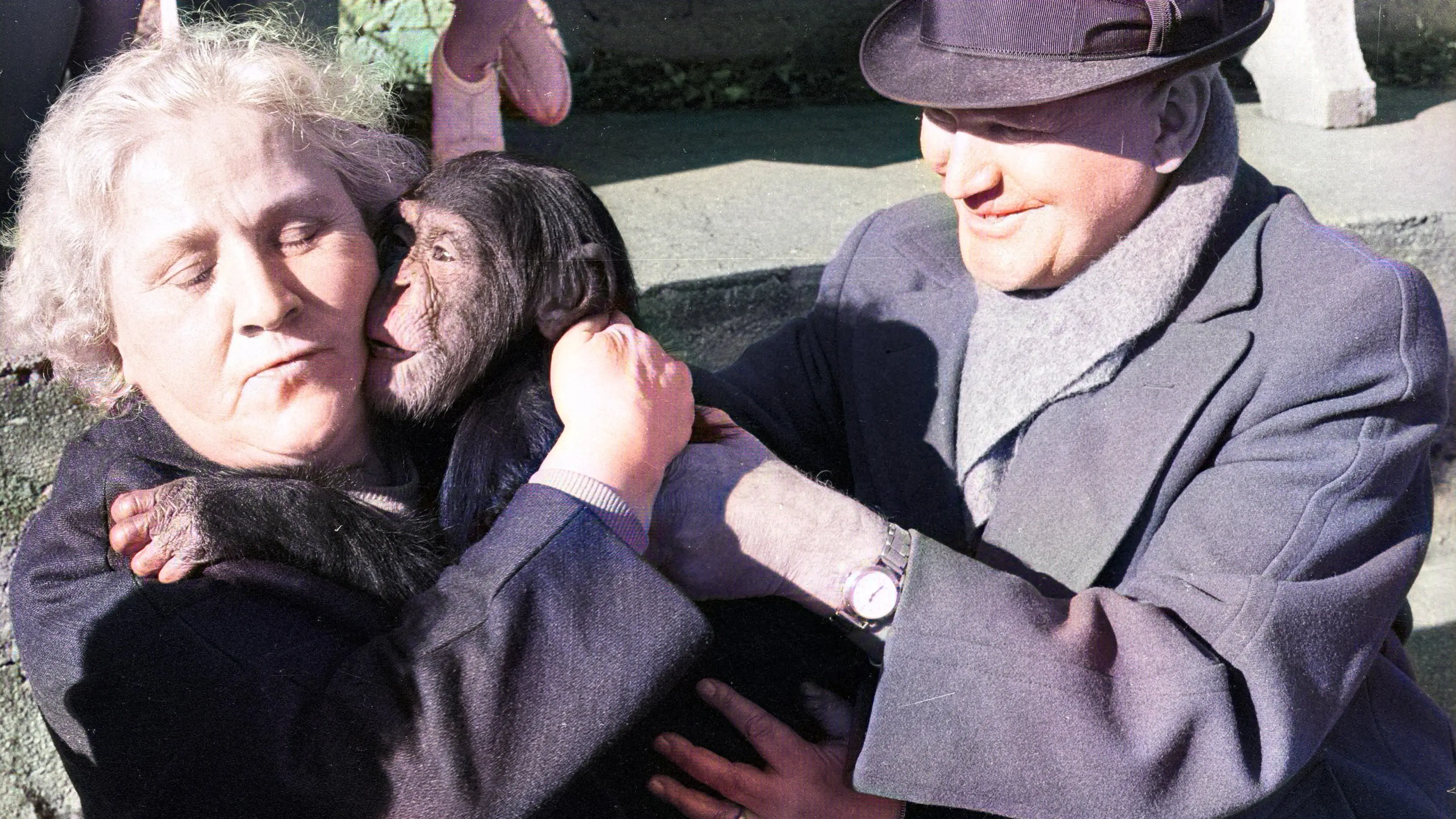 Land of Silence and Darkness backdrop