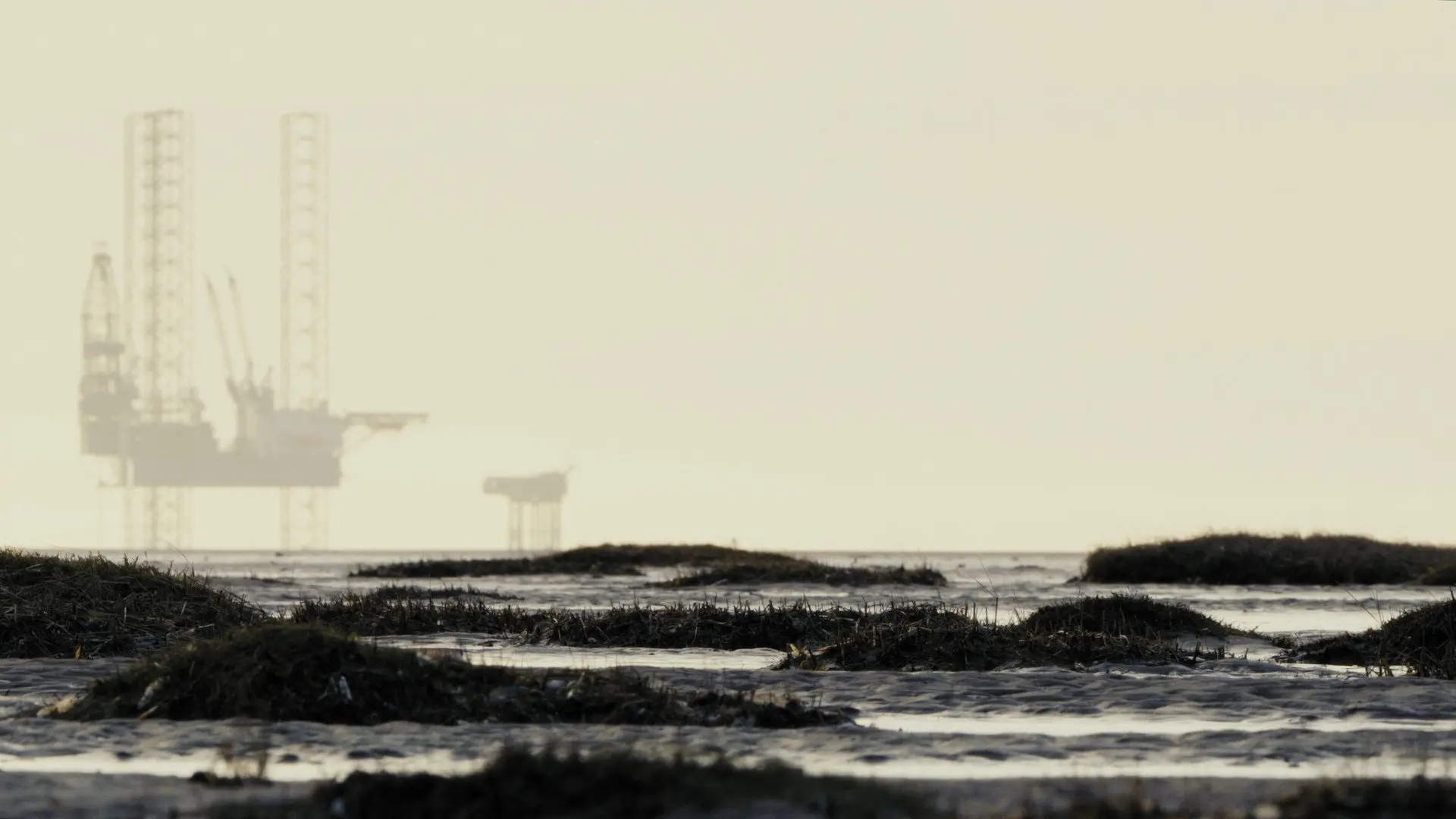 Lands Between backdrop