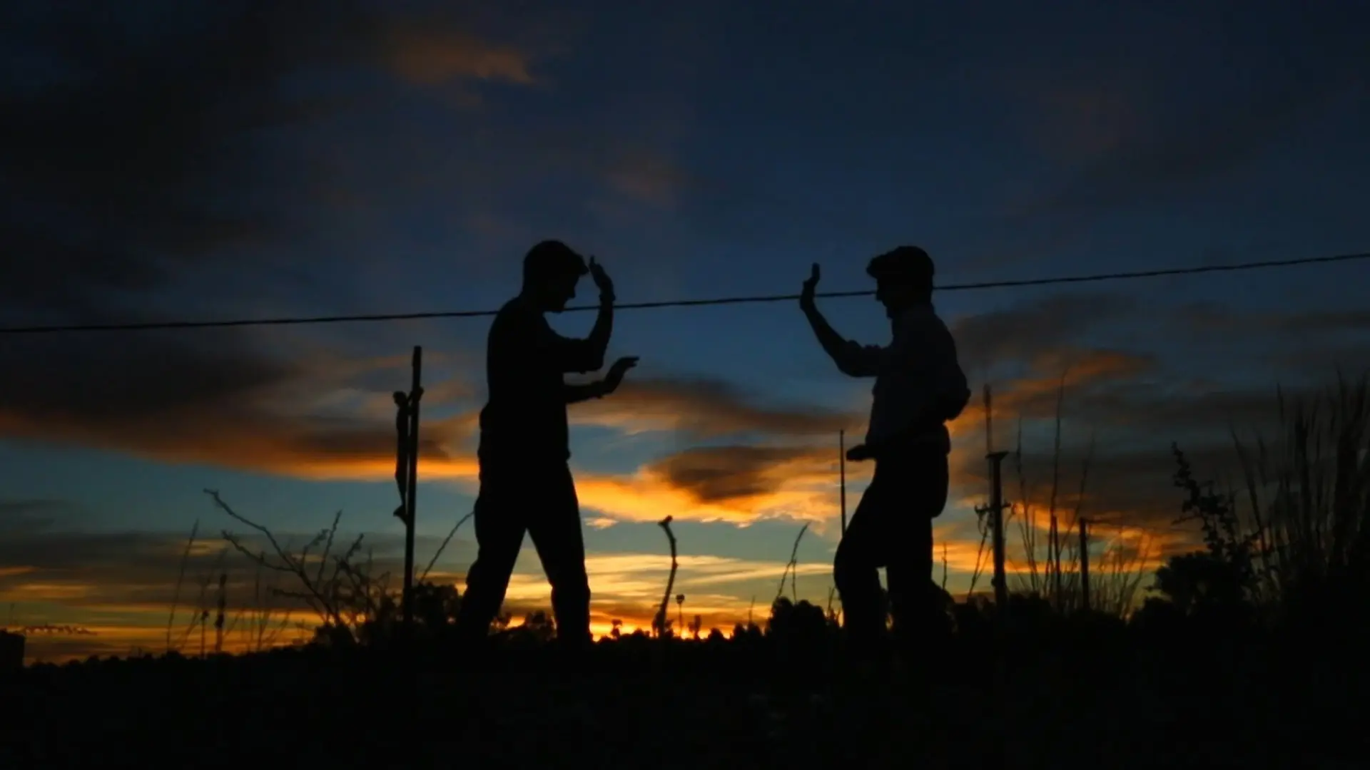 Nobody is Crazy backdrop